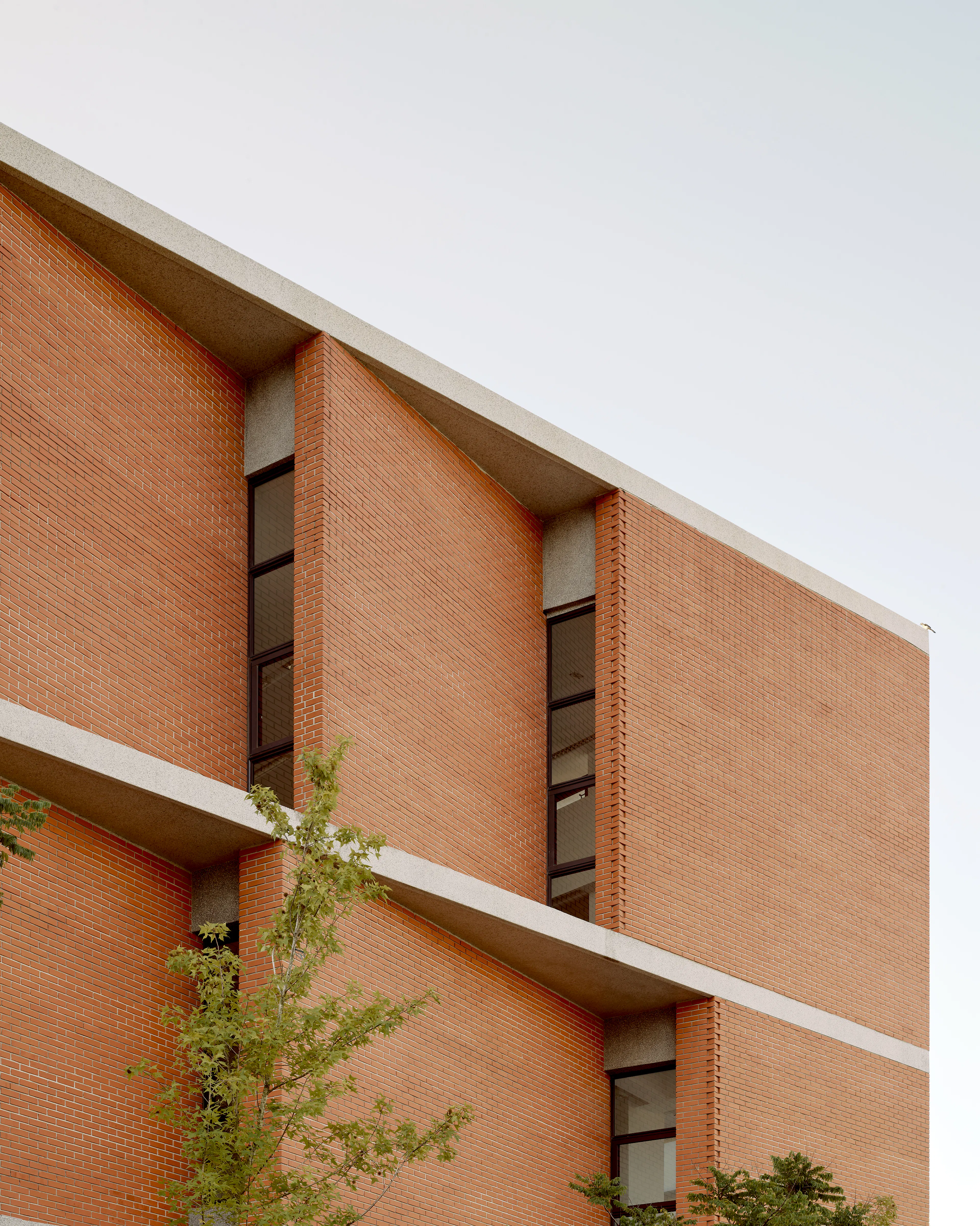 Shangfeng Public Library and School Gymnasium — 8