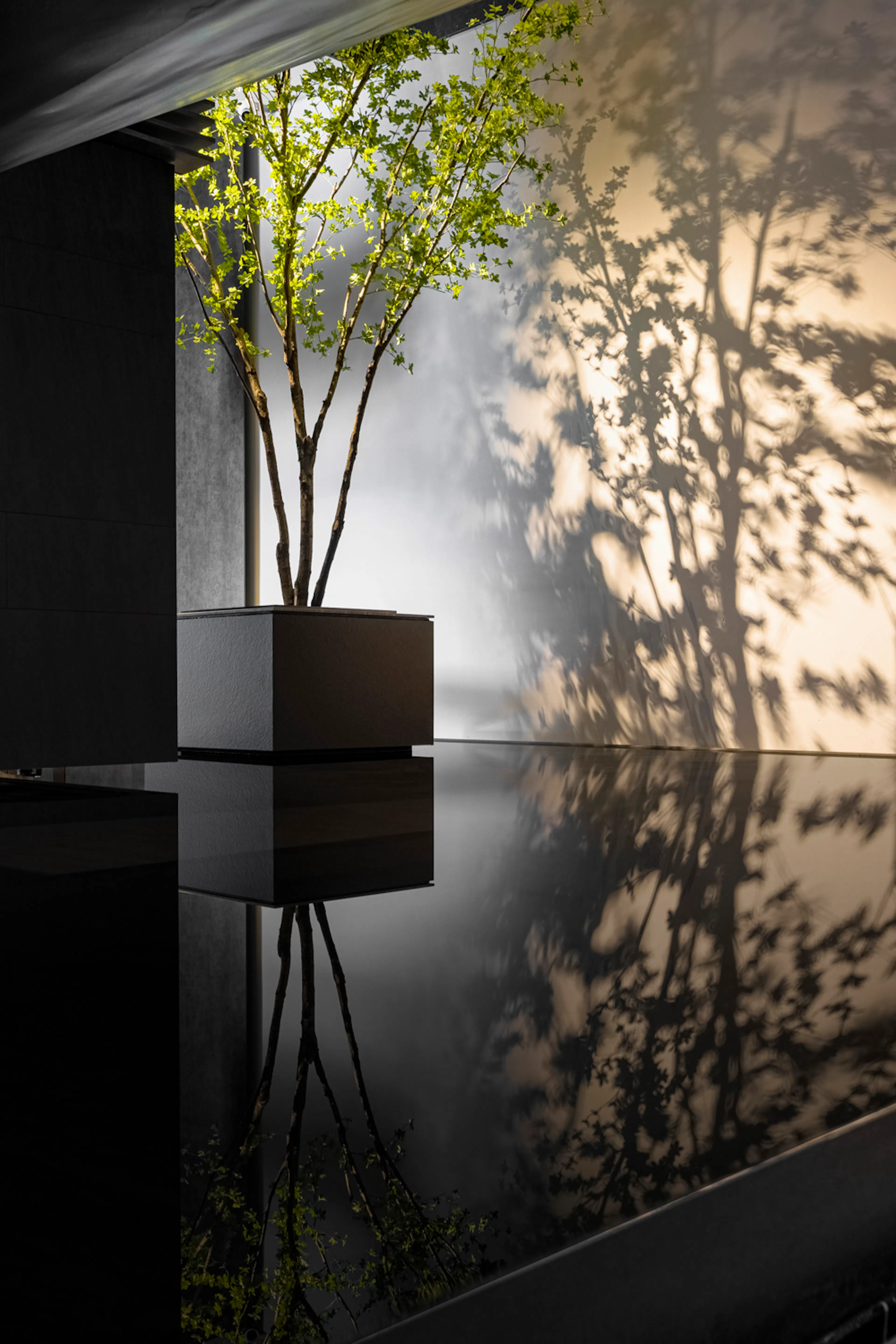 Techsize Flagship Store — 24