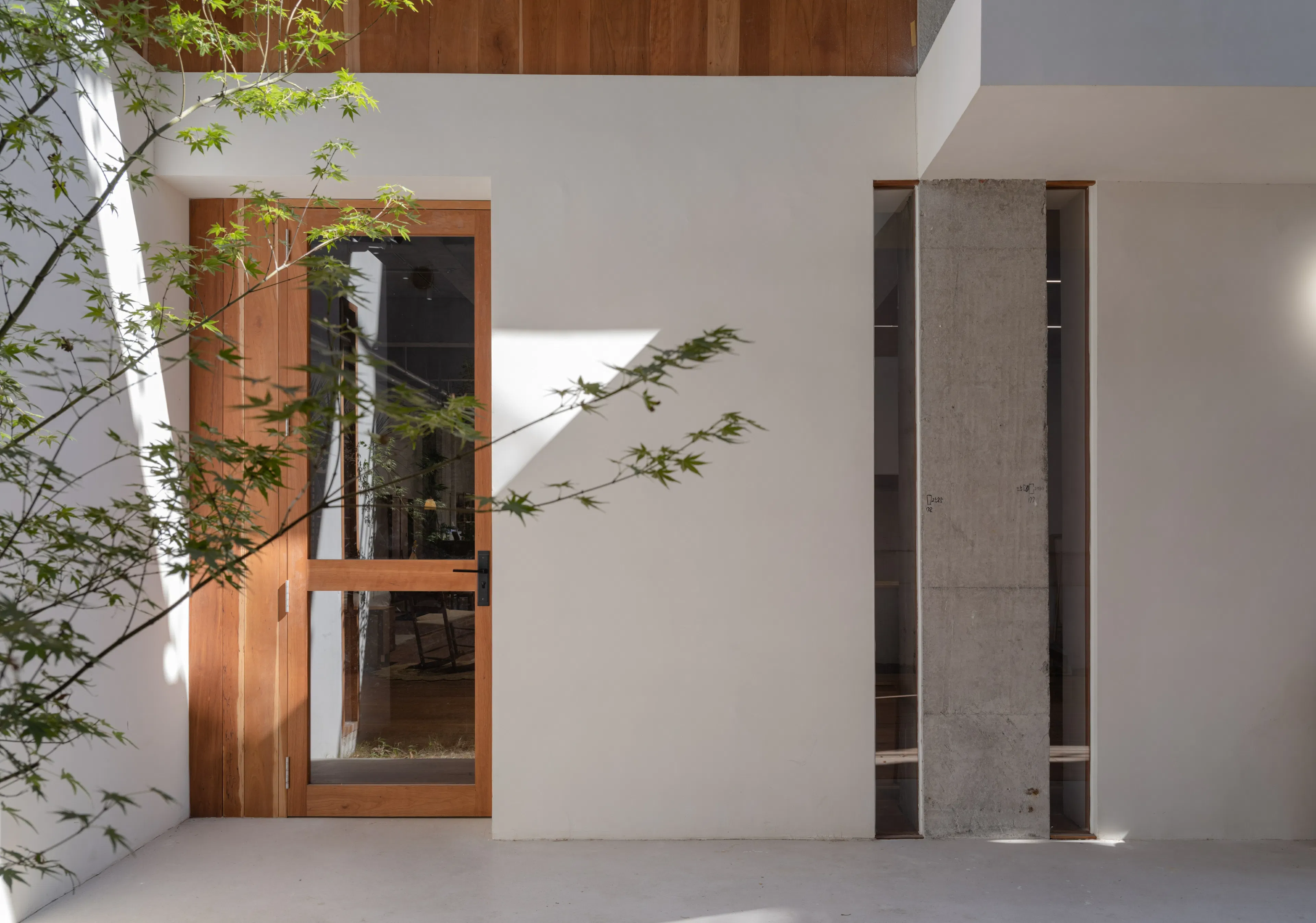 Free space with wood — 7