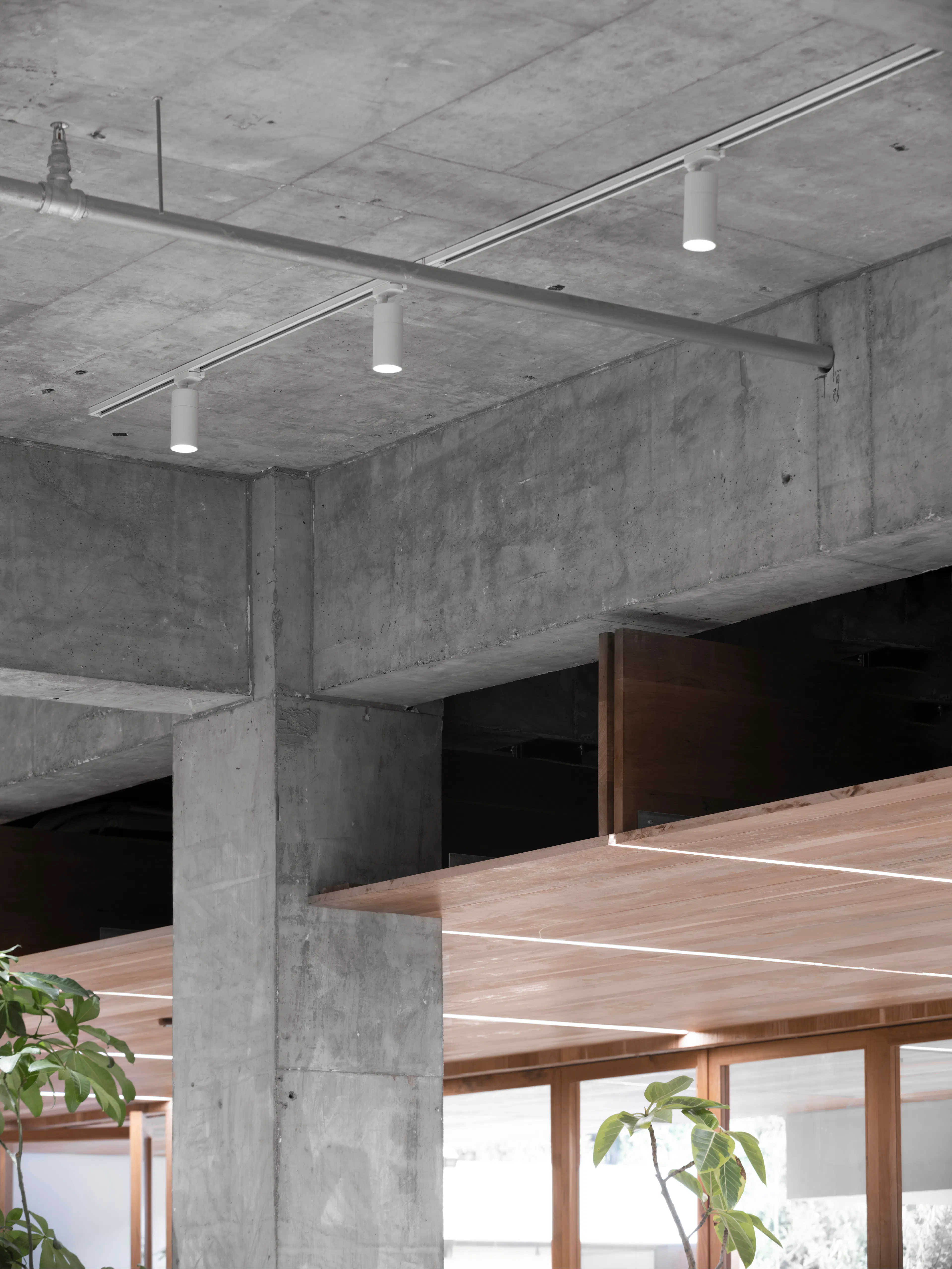 Free space with wood — 9