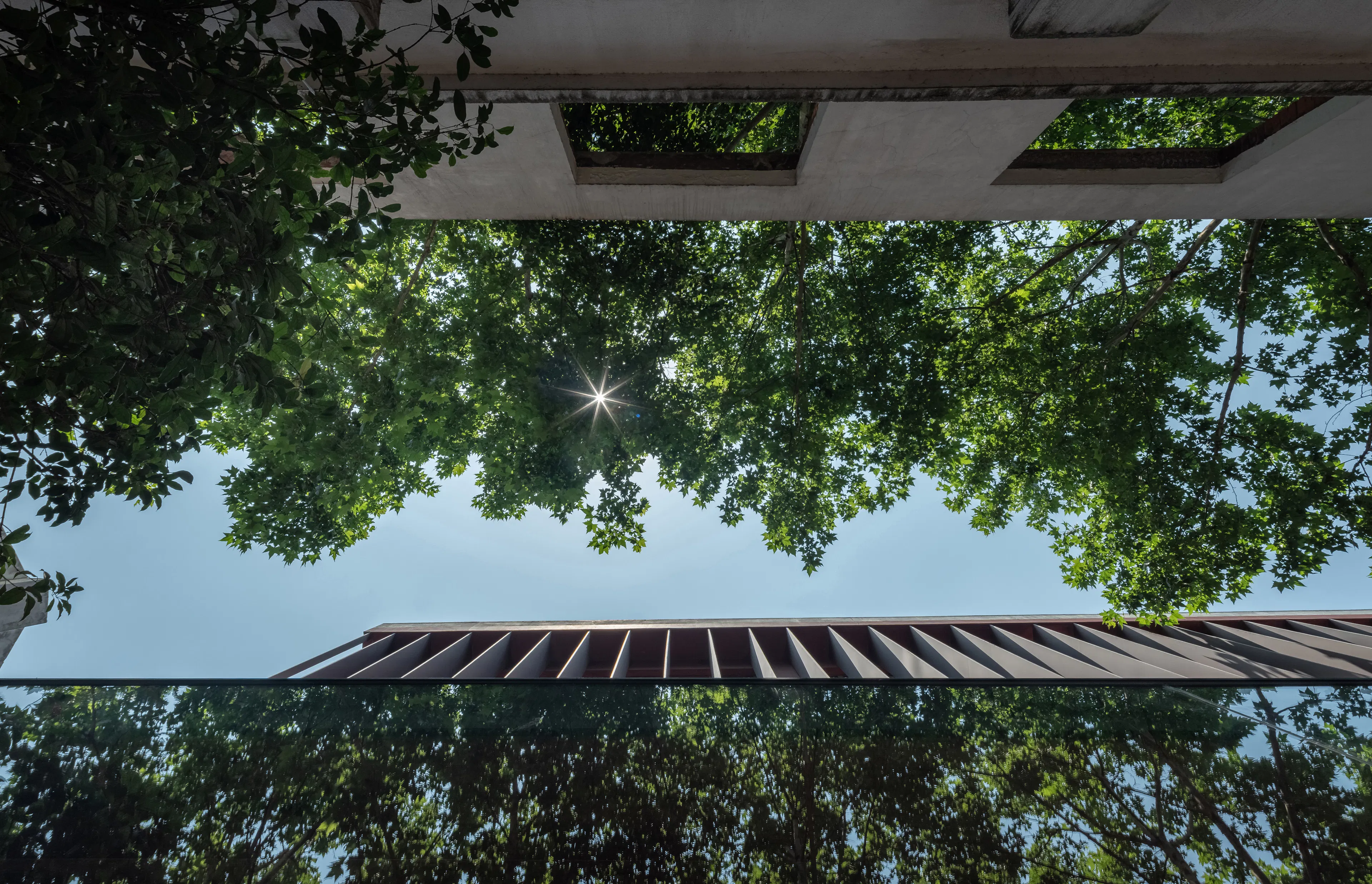 Free space with wood — 23