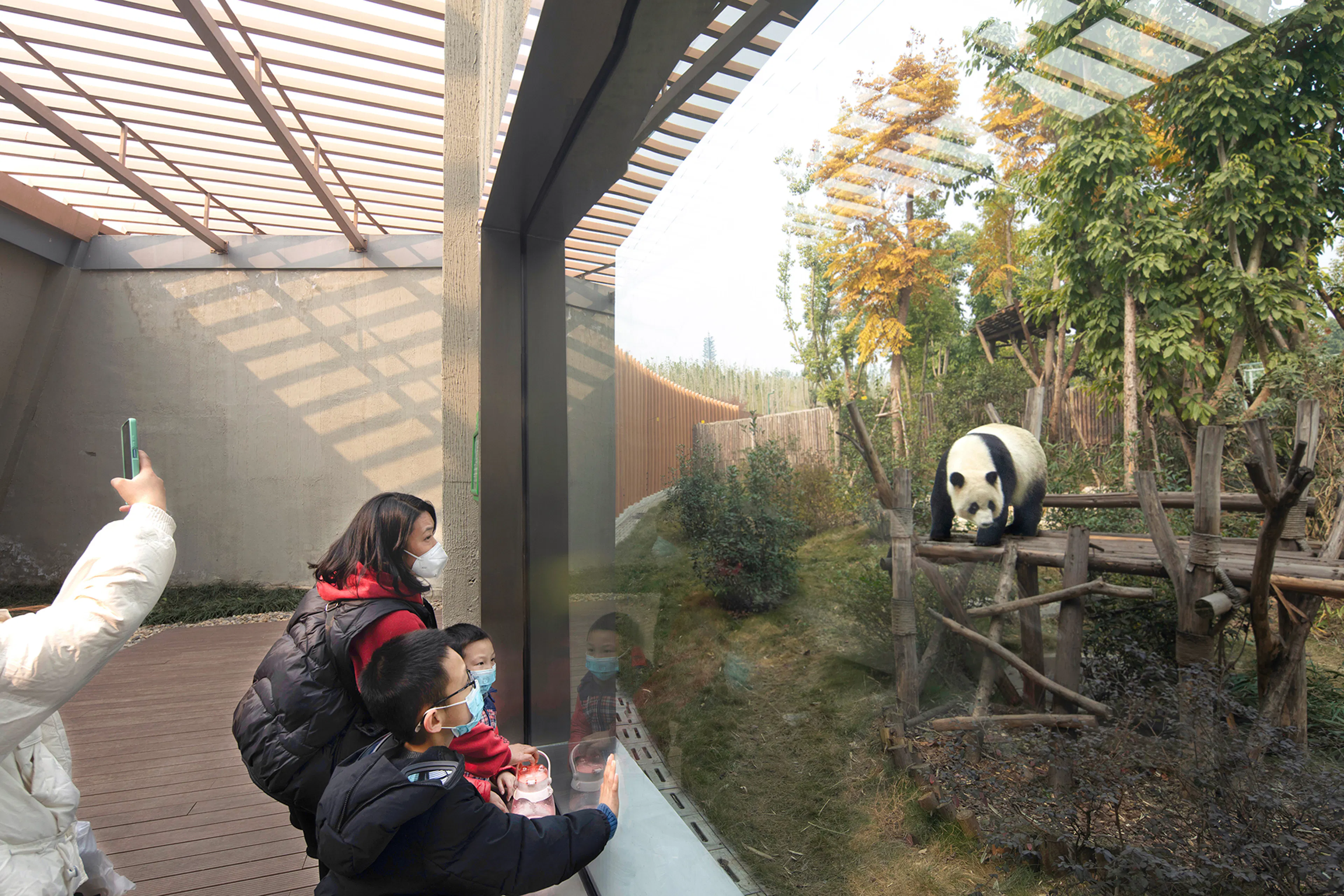 The Panda Pavilions — 10