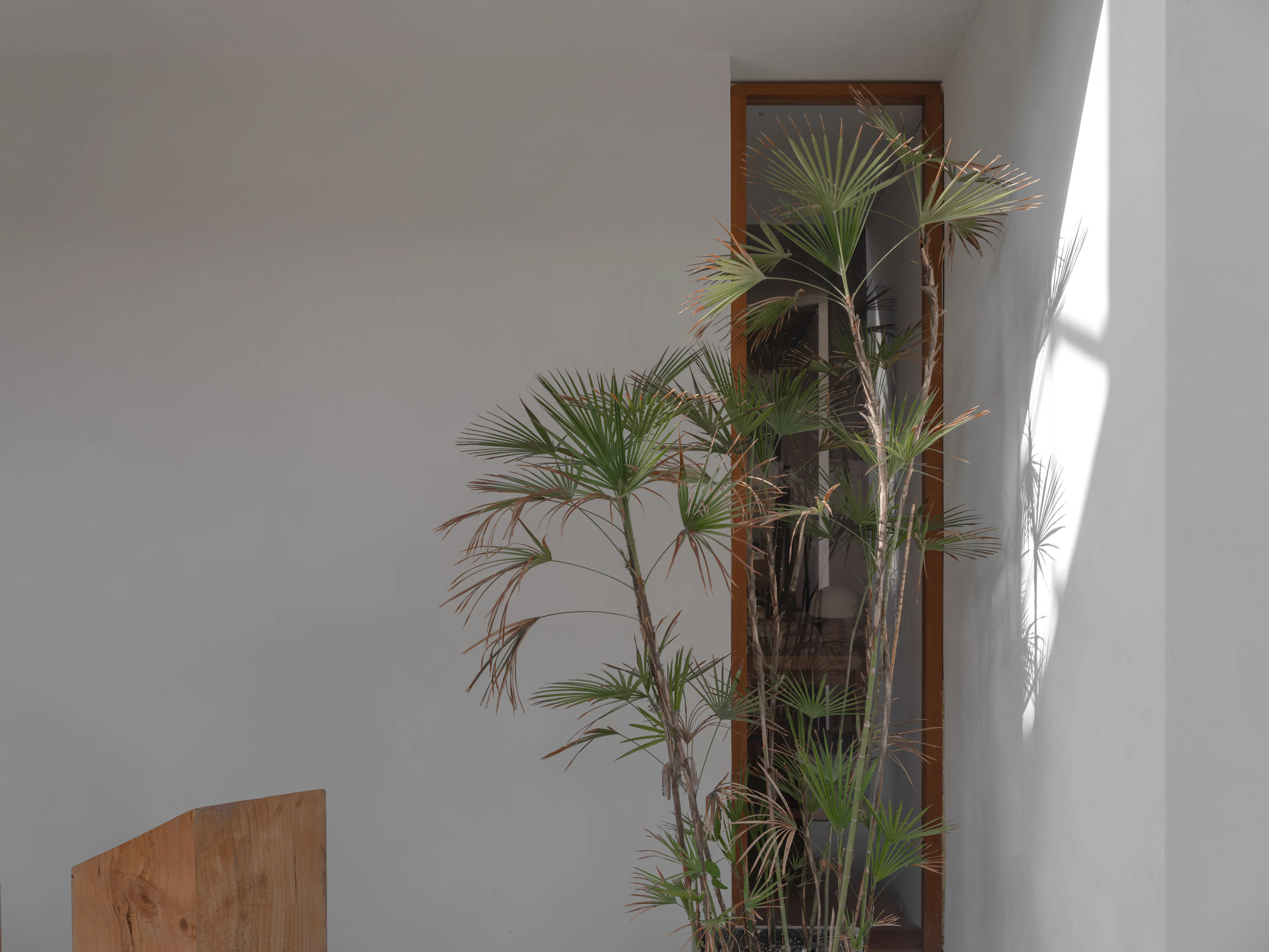 Free space with wood — 50