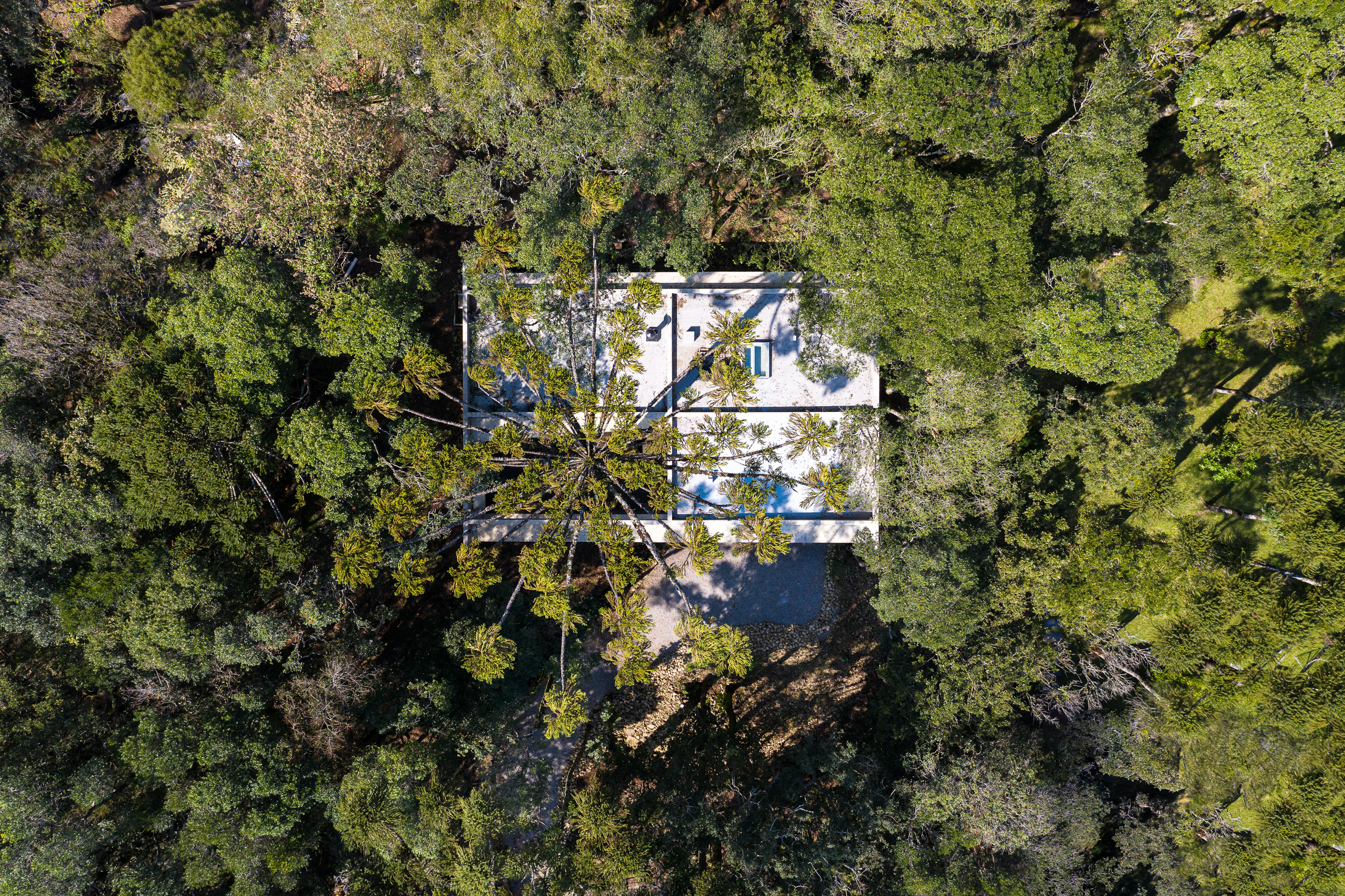 Fortunata House — 1