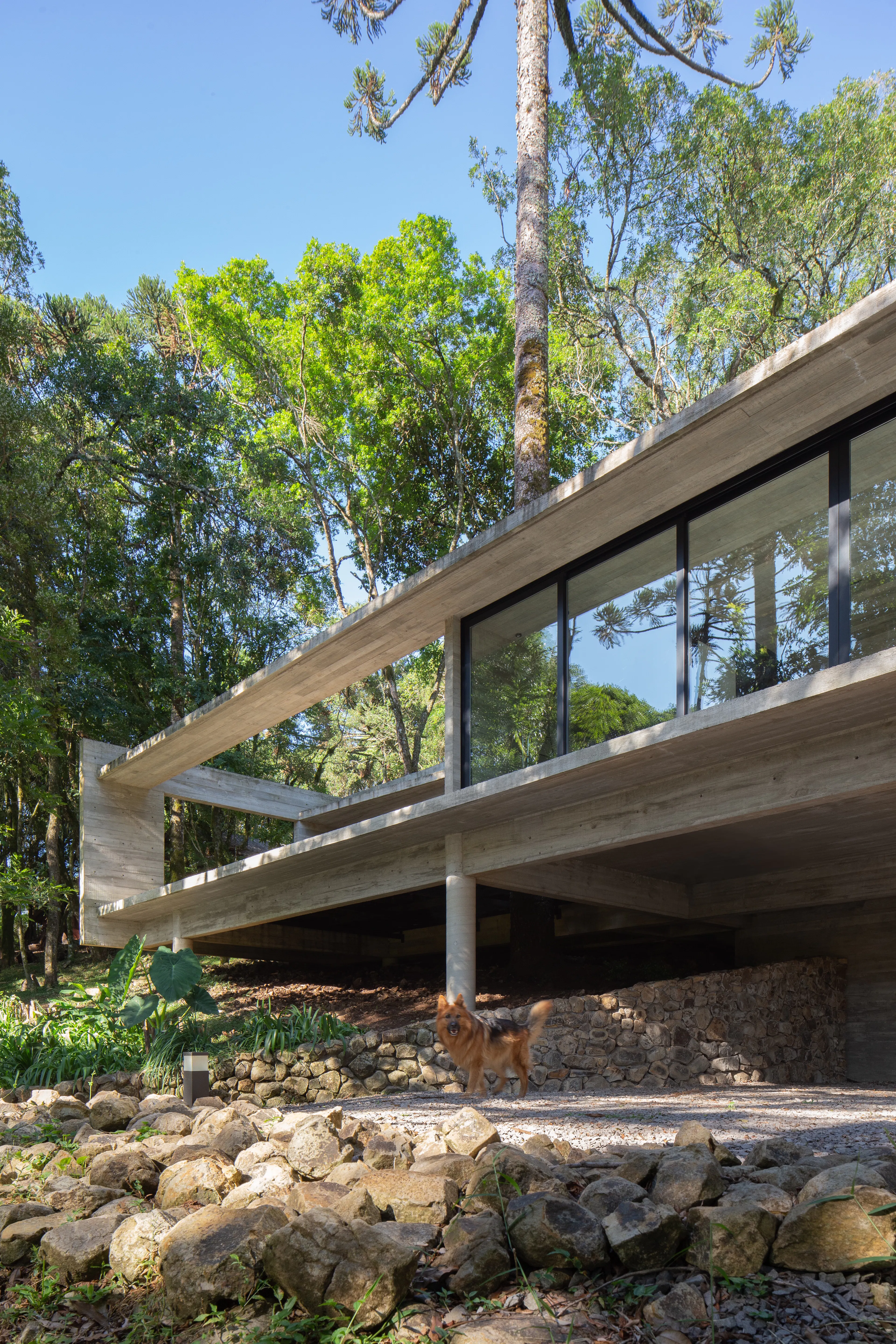 Fortunata House — 7