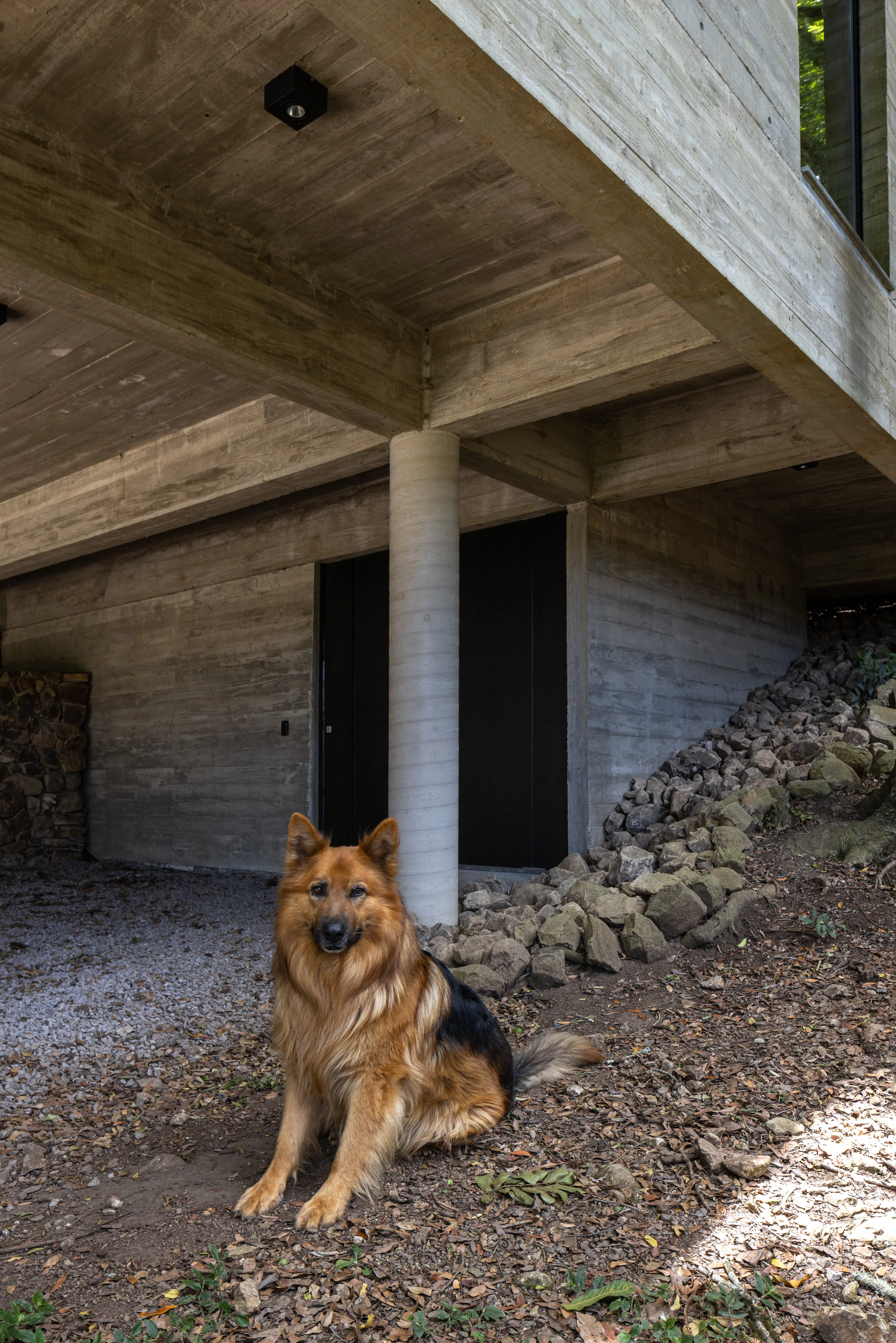 Fortunata House — 8