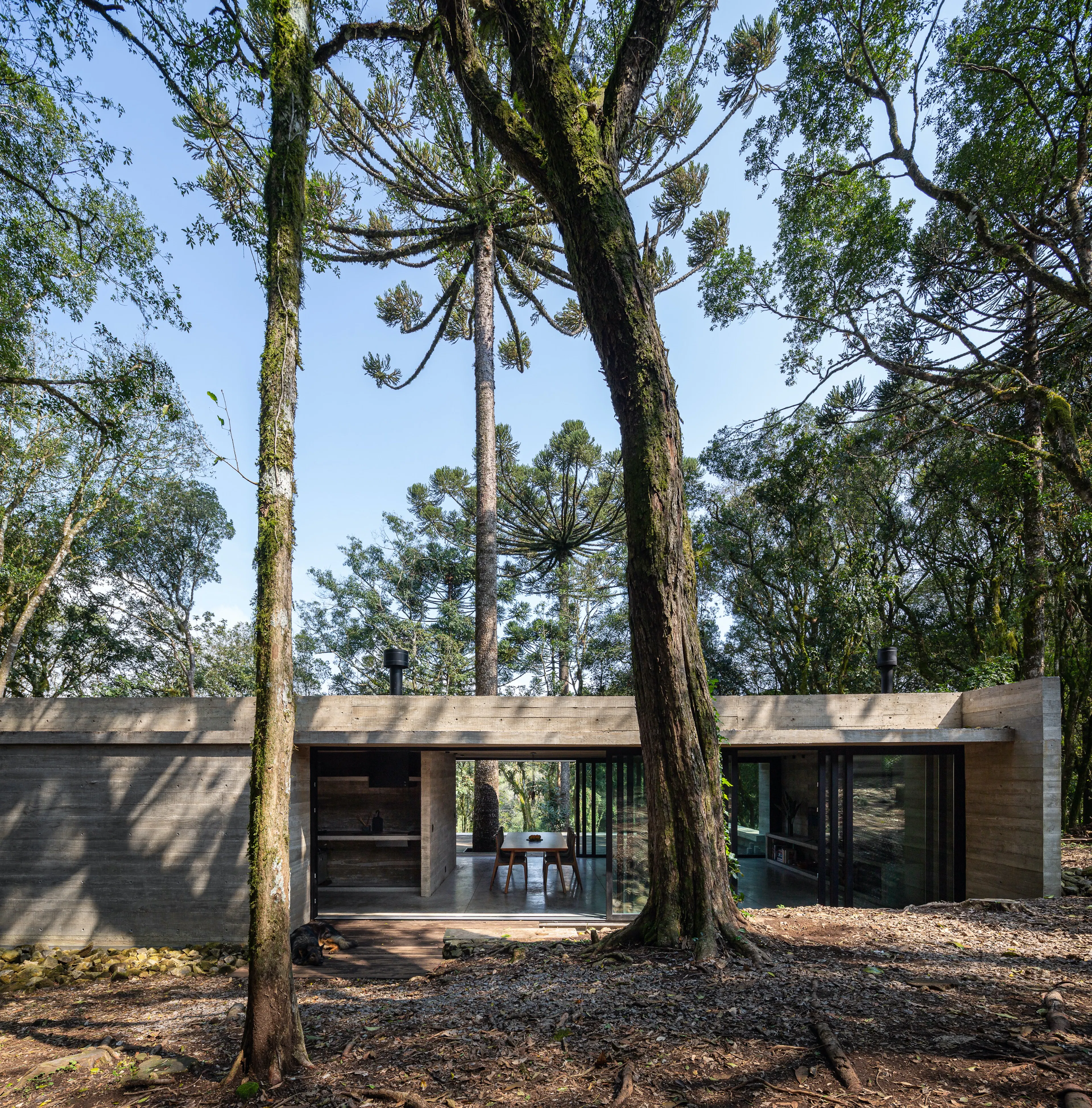 Fortunata House — 33