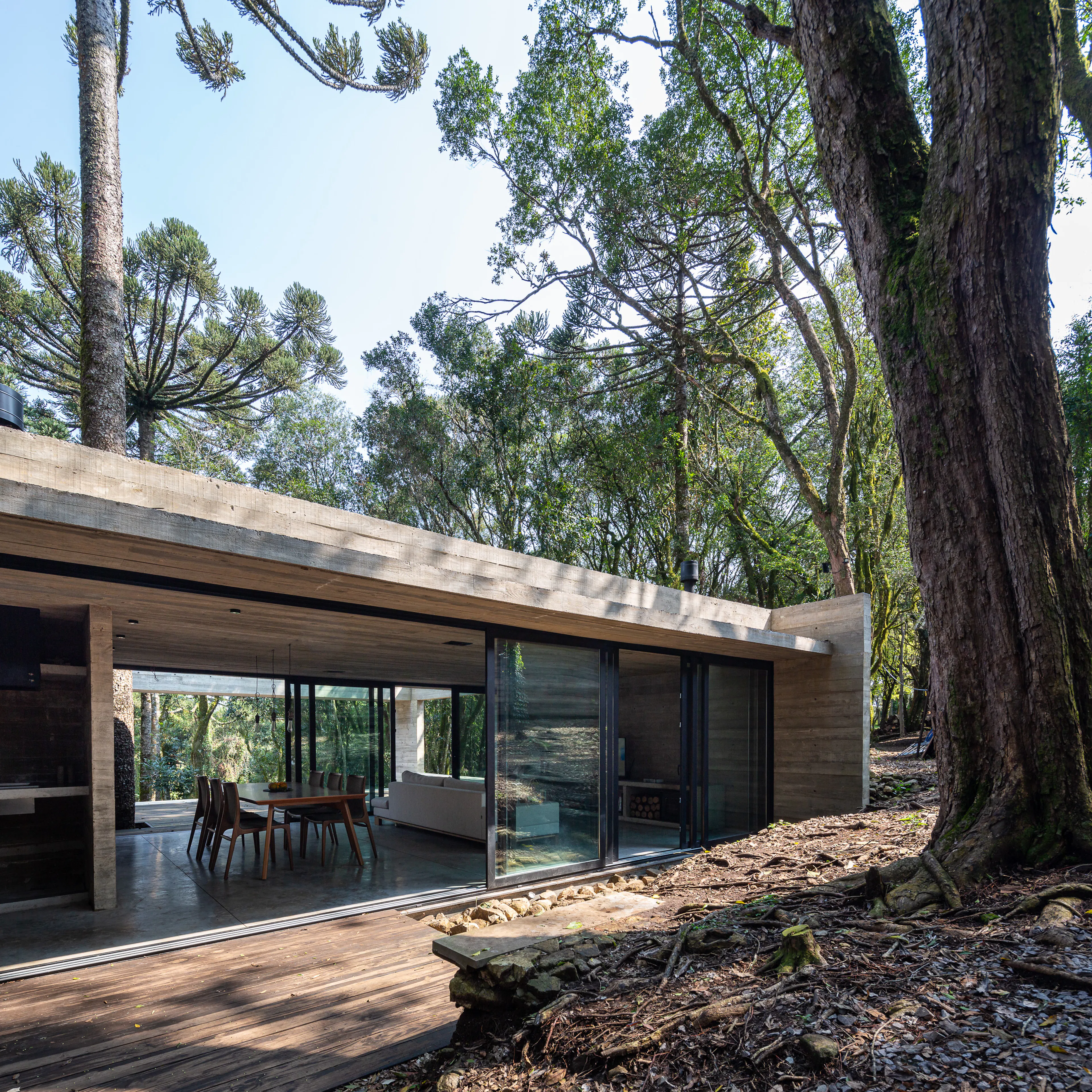 Fortunata House — 31