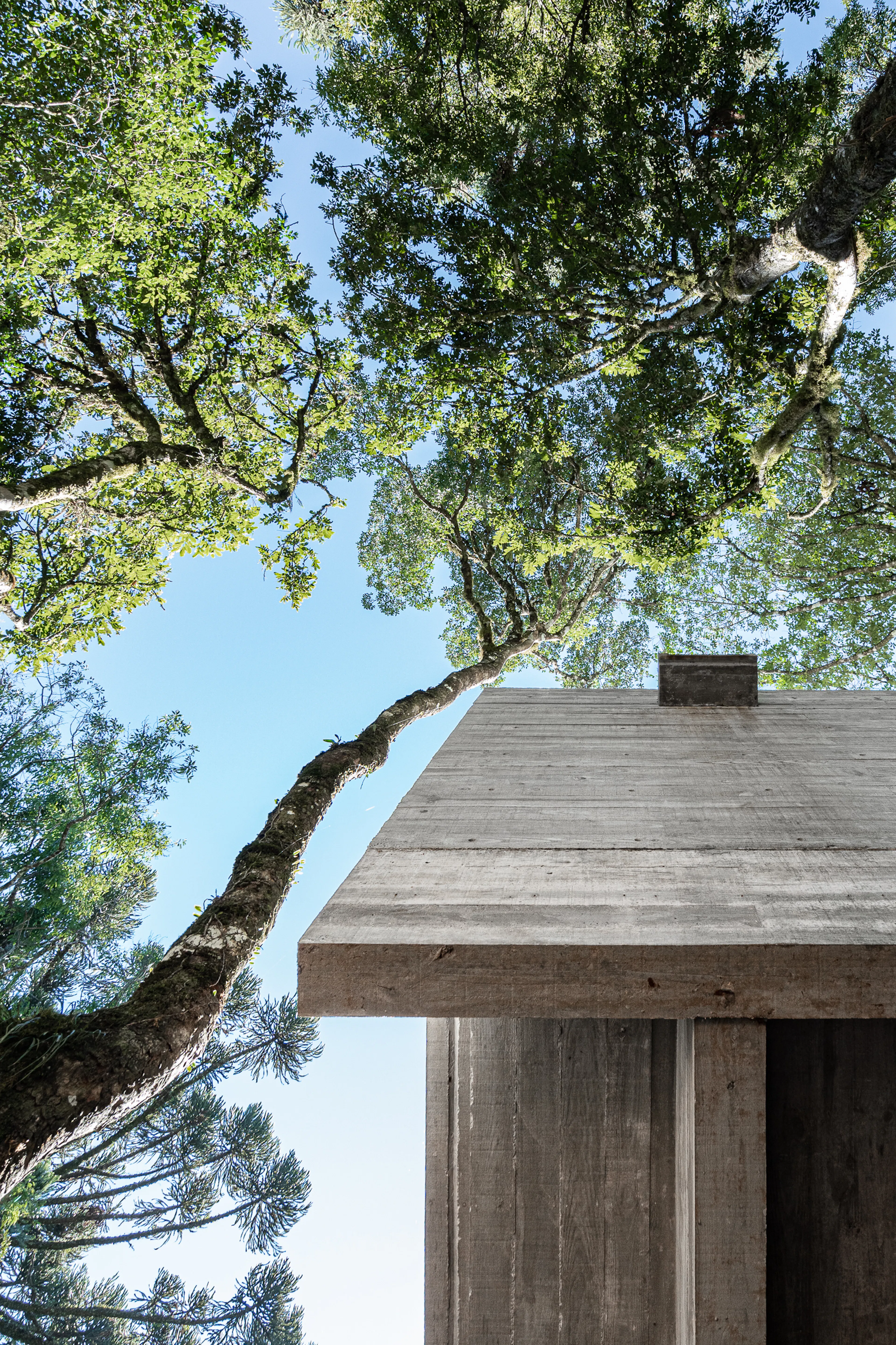 Fortunata House — 39