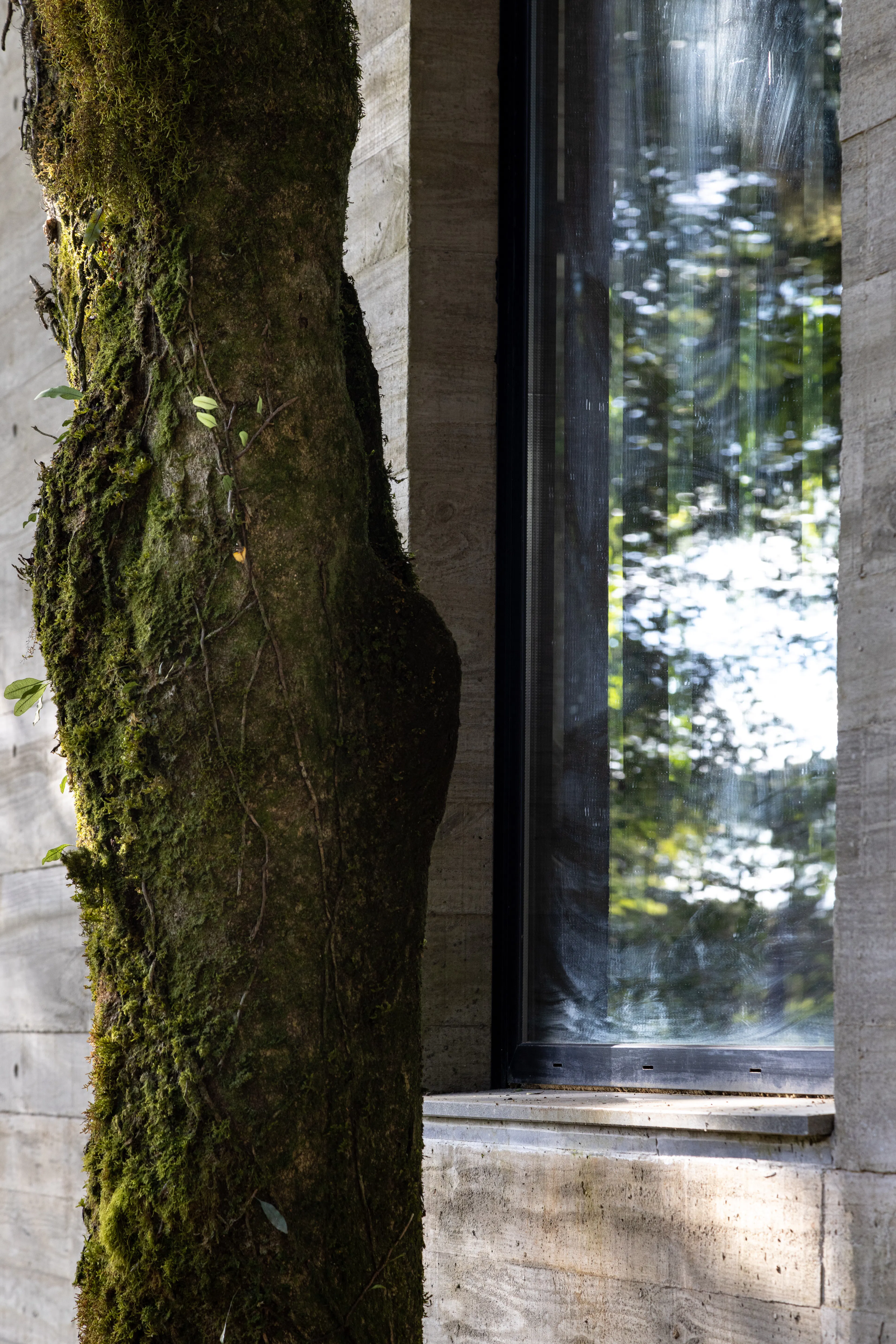 Fortunata House — 43