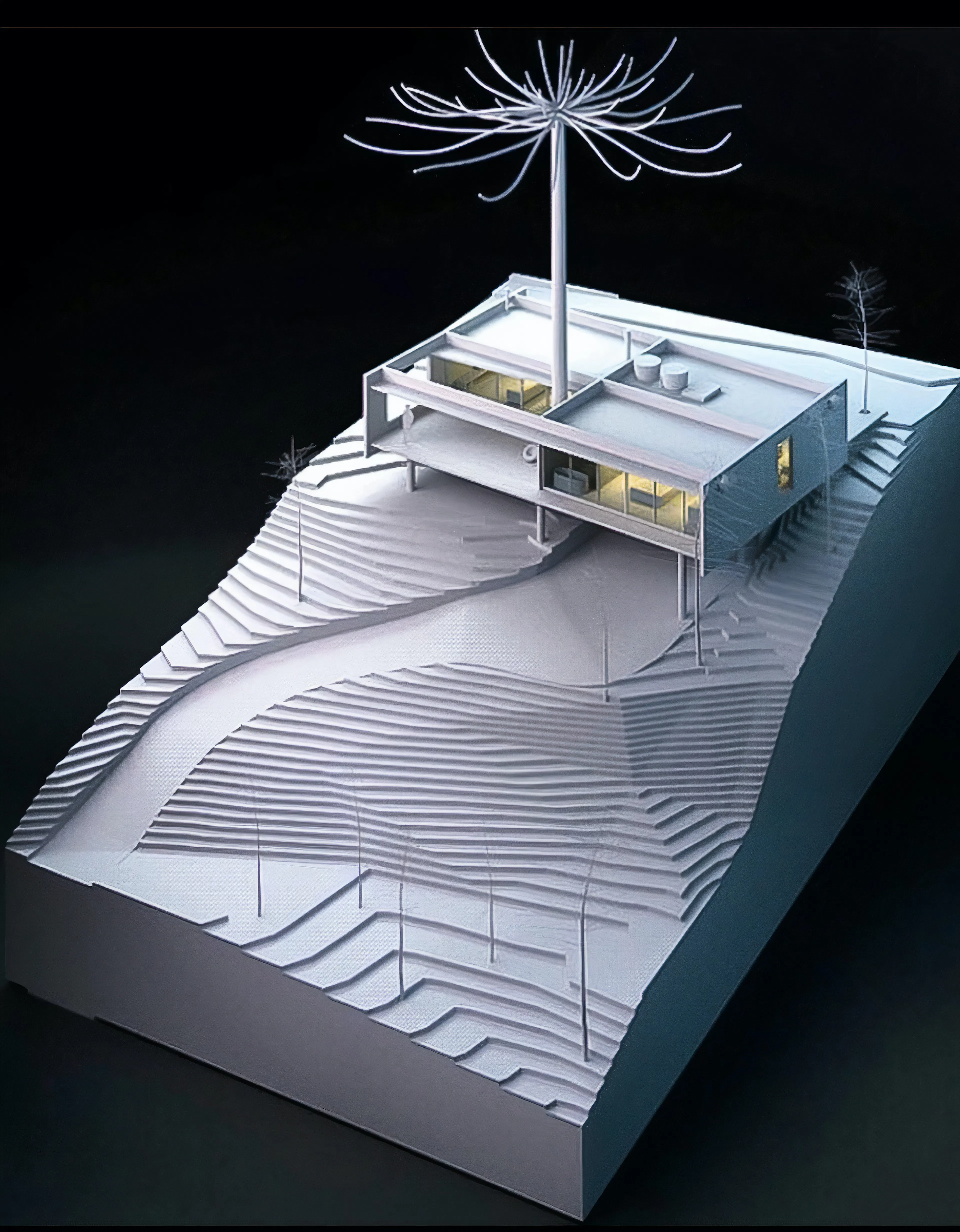 Fortunata House — 45