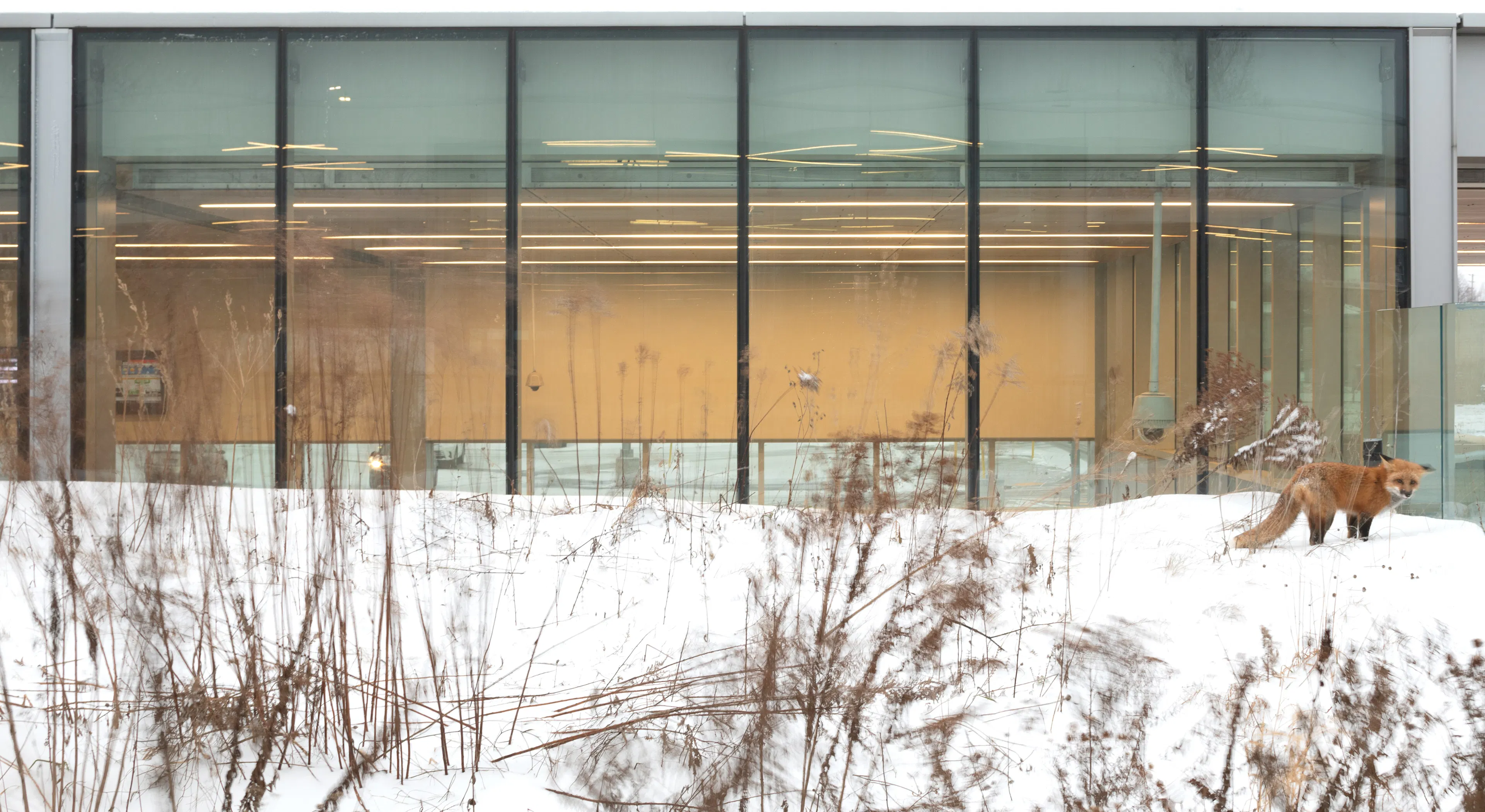 Guildwood GO Station