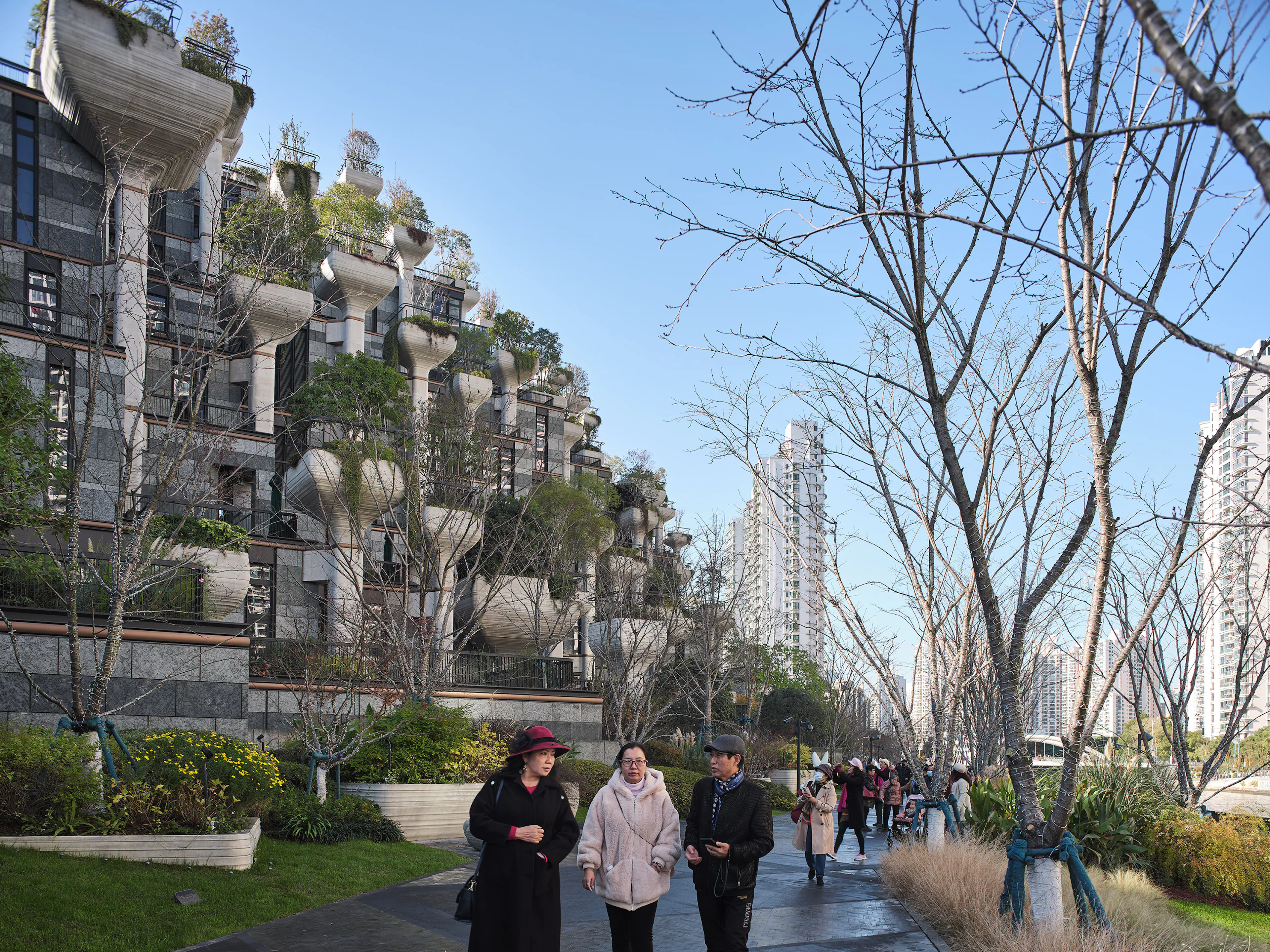 1000 Trees Phase 1 — 1