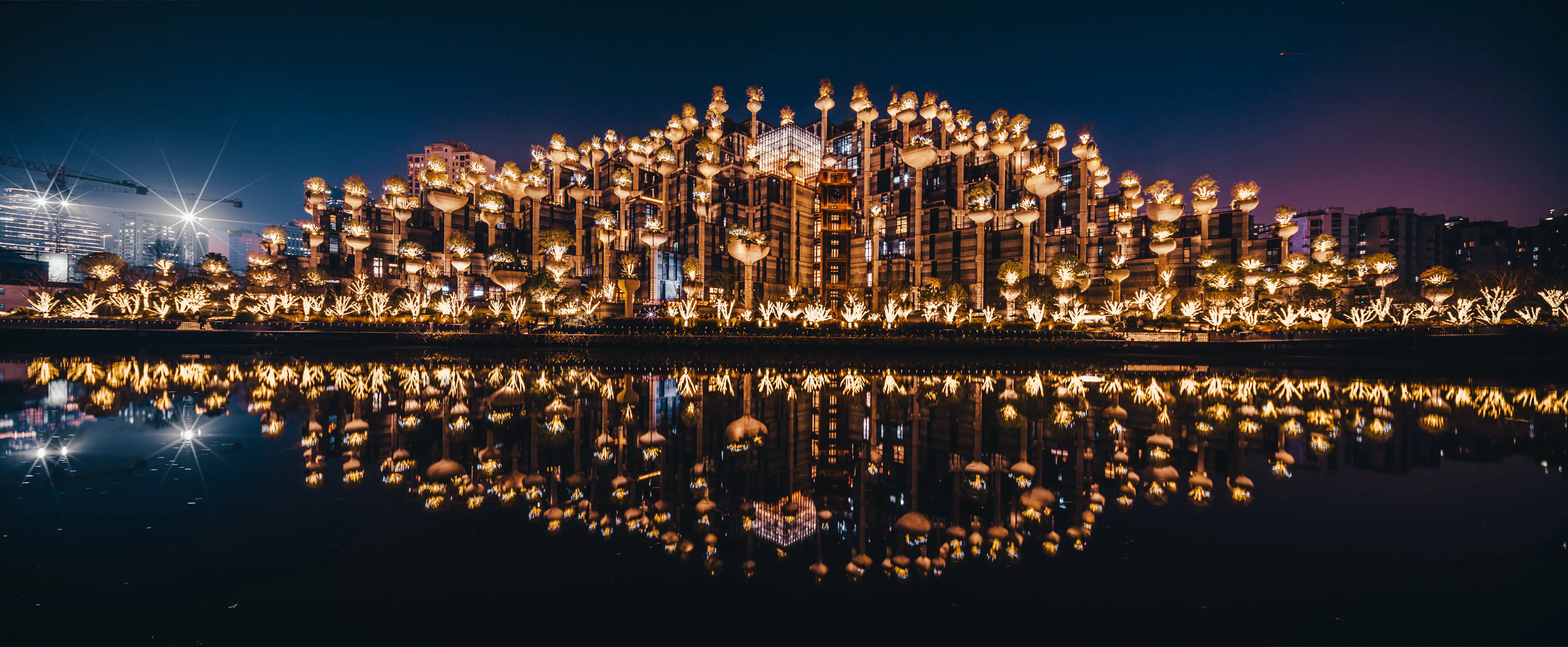 1000 Trees Phase 1 — 3