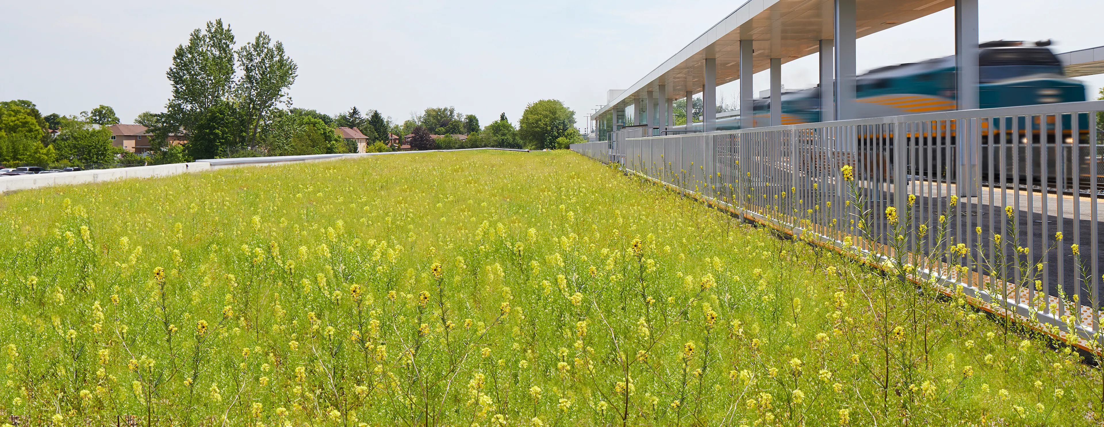 Guildwood GO Station — 8