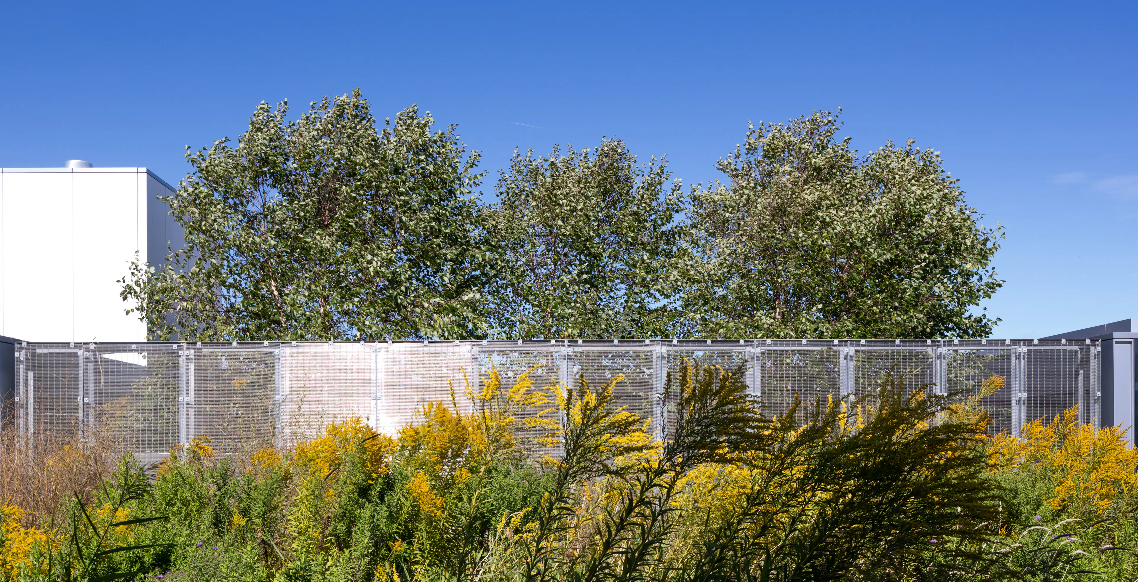 Guildwood GO Station — 10