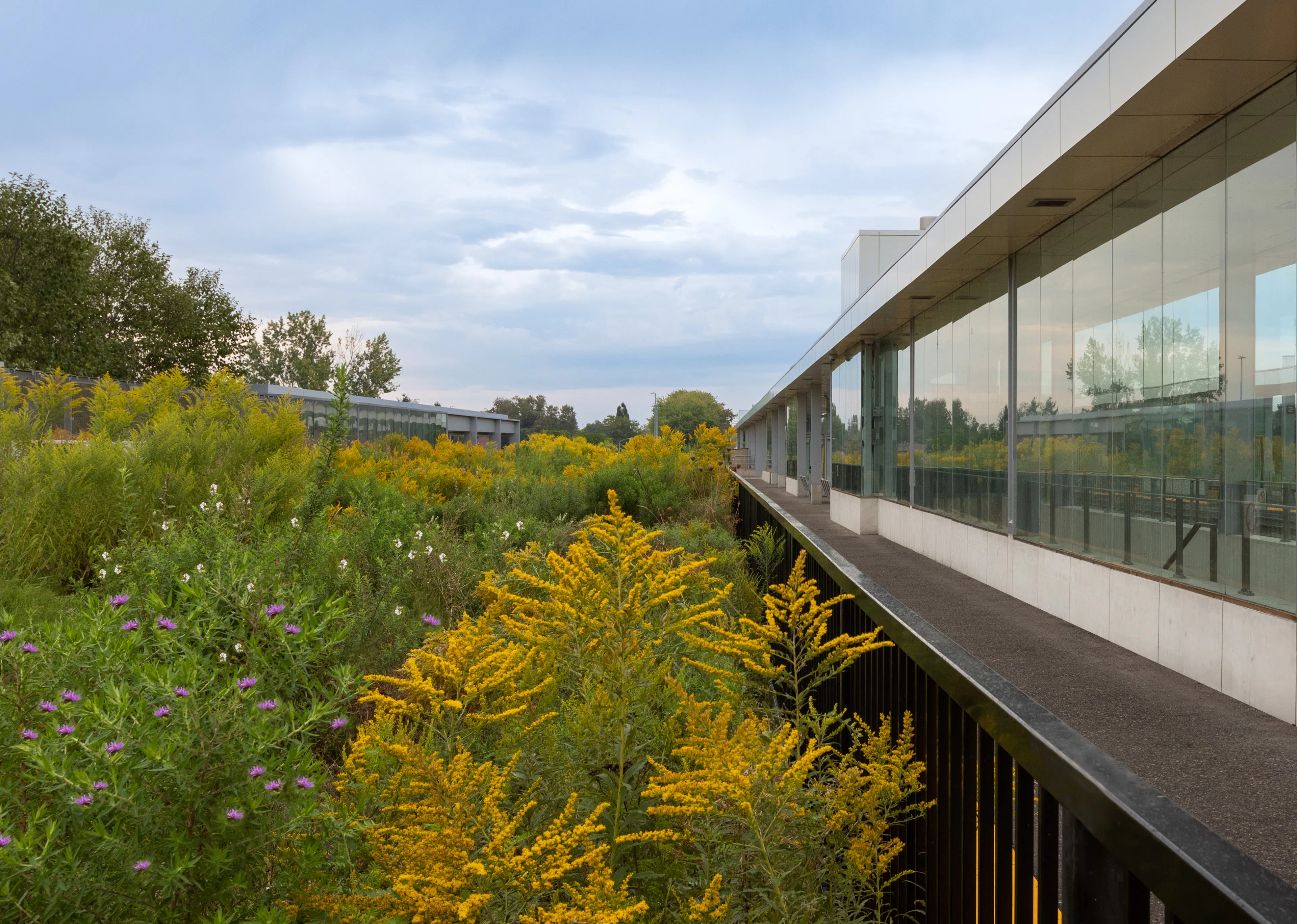 Guildwood GO Station — 12