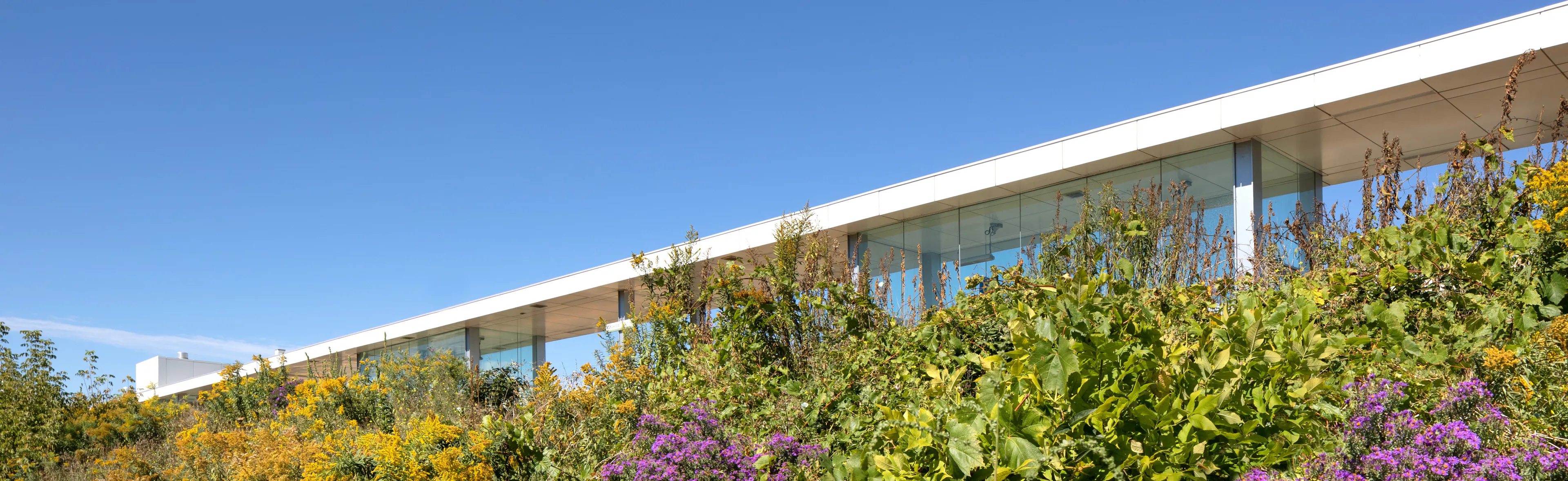 Guildwood GO Station — 14