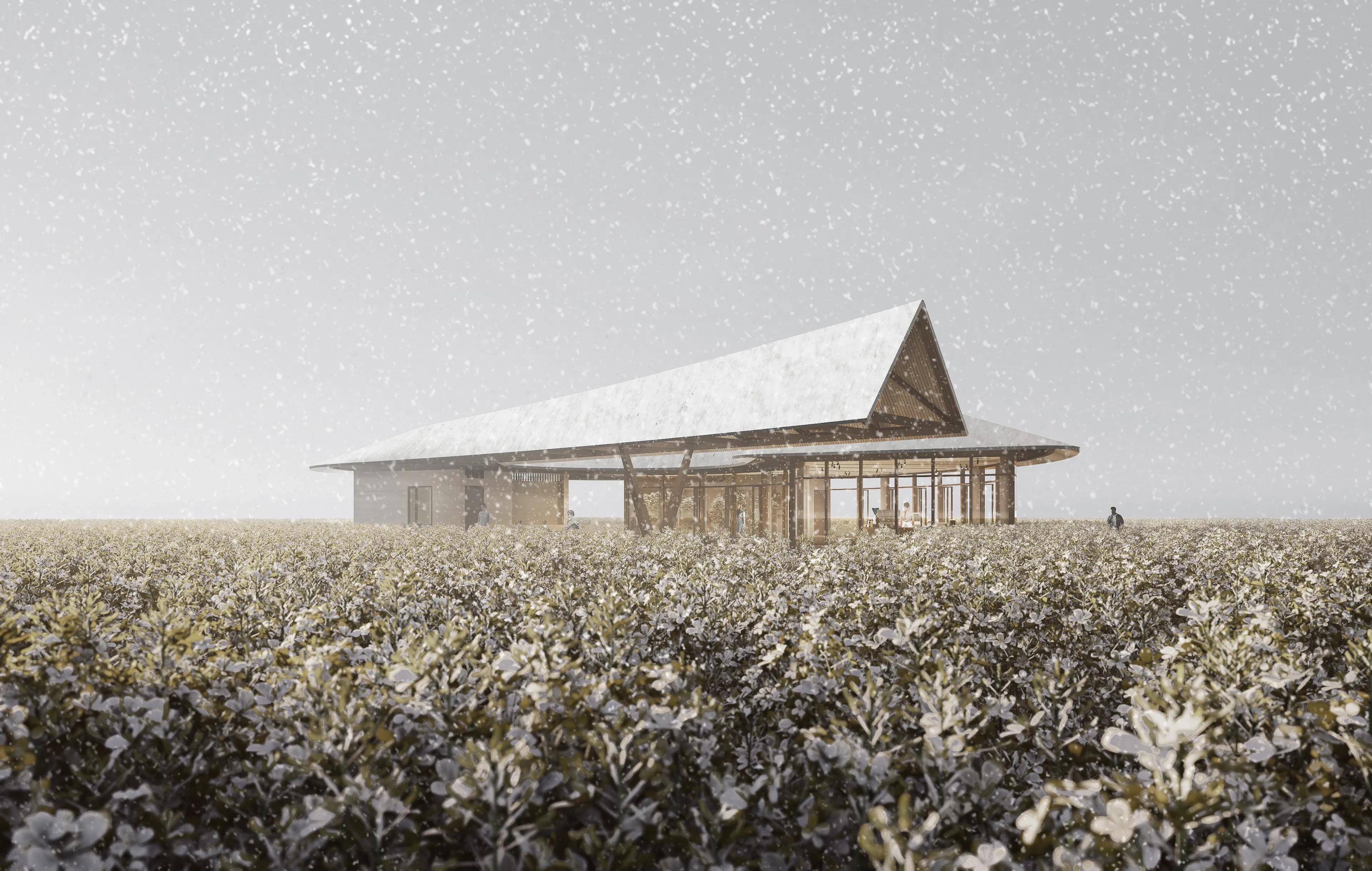 Station in the Field — 5