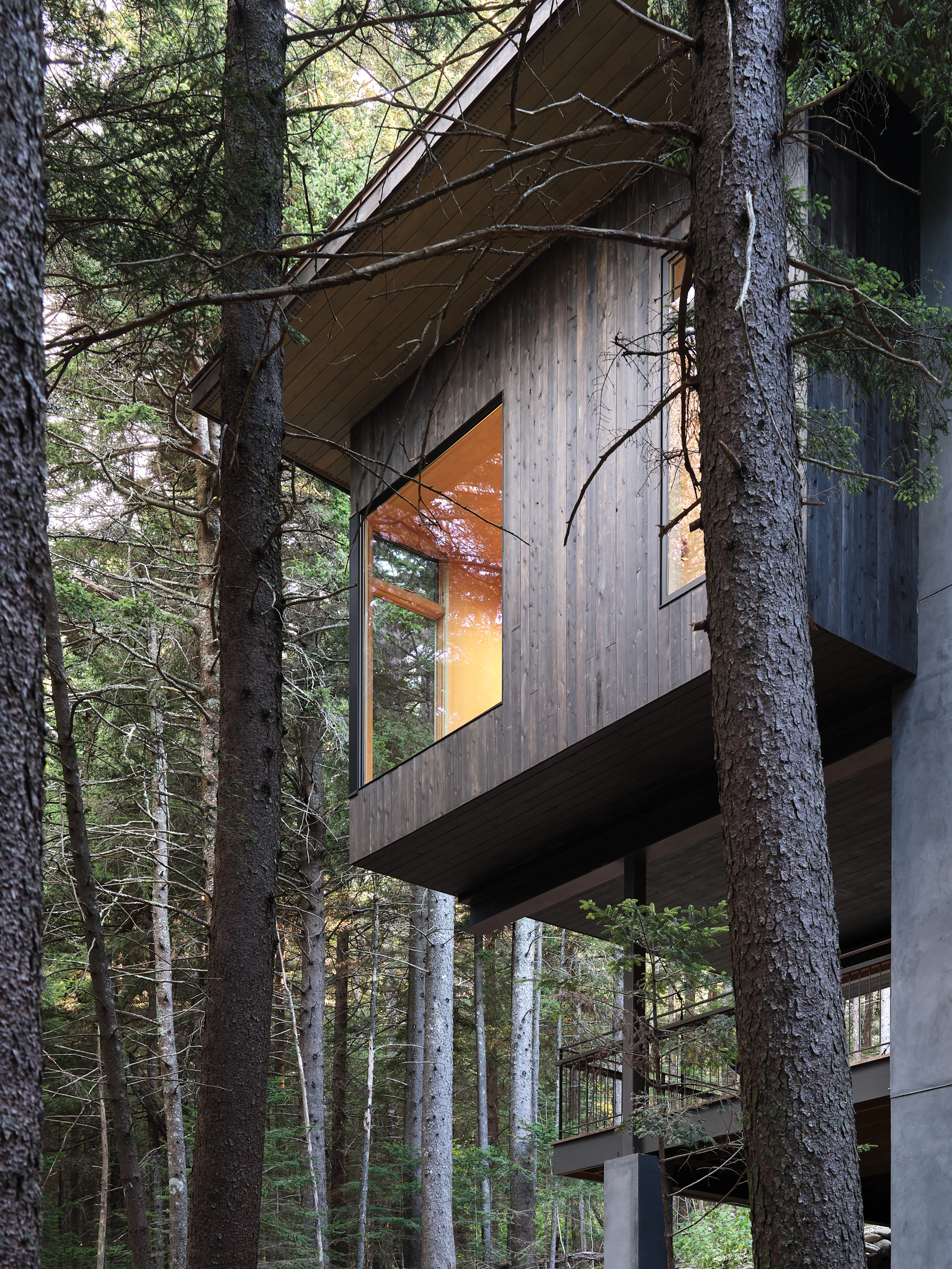 Spruce Ridge Cabin — 3