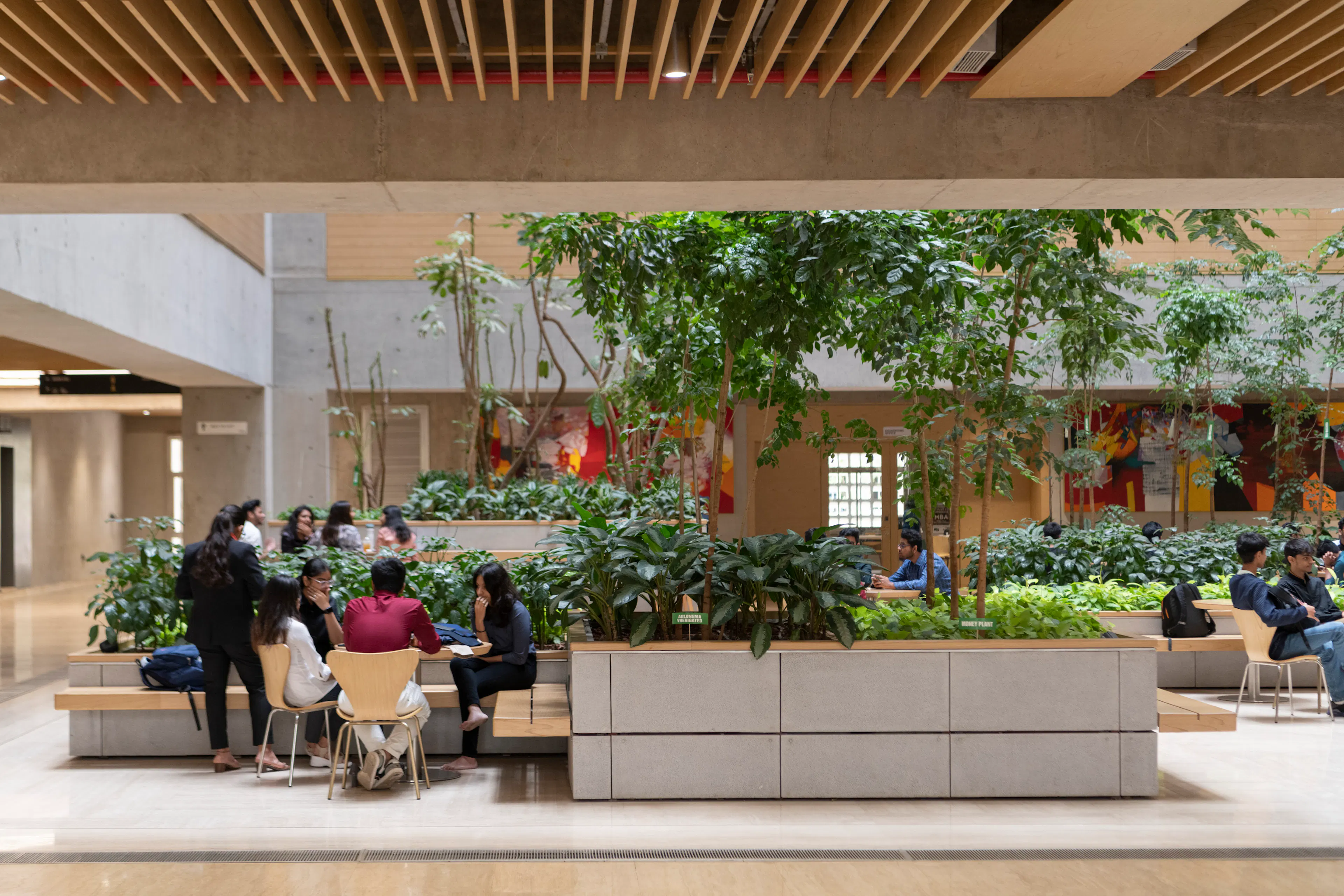 DY Patil University Centre of Excellence — 2