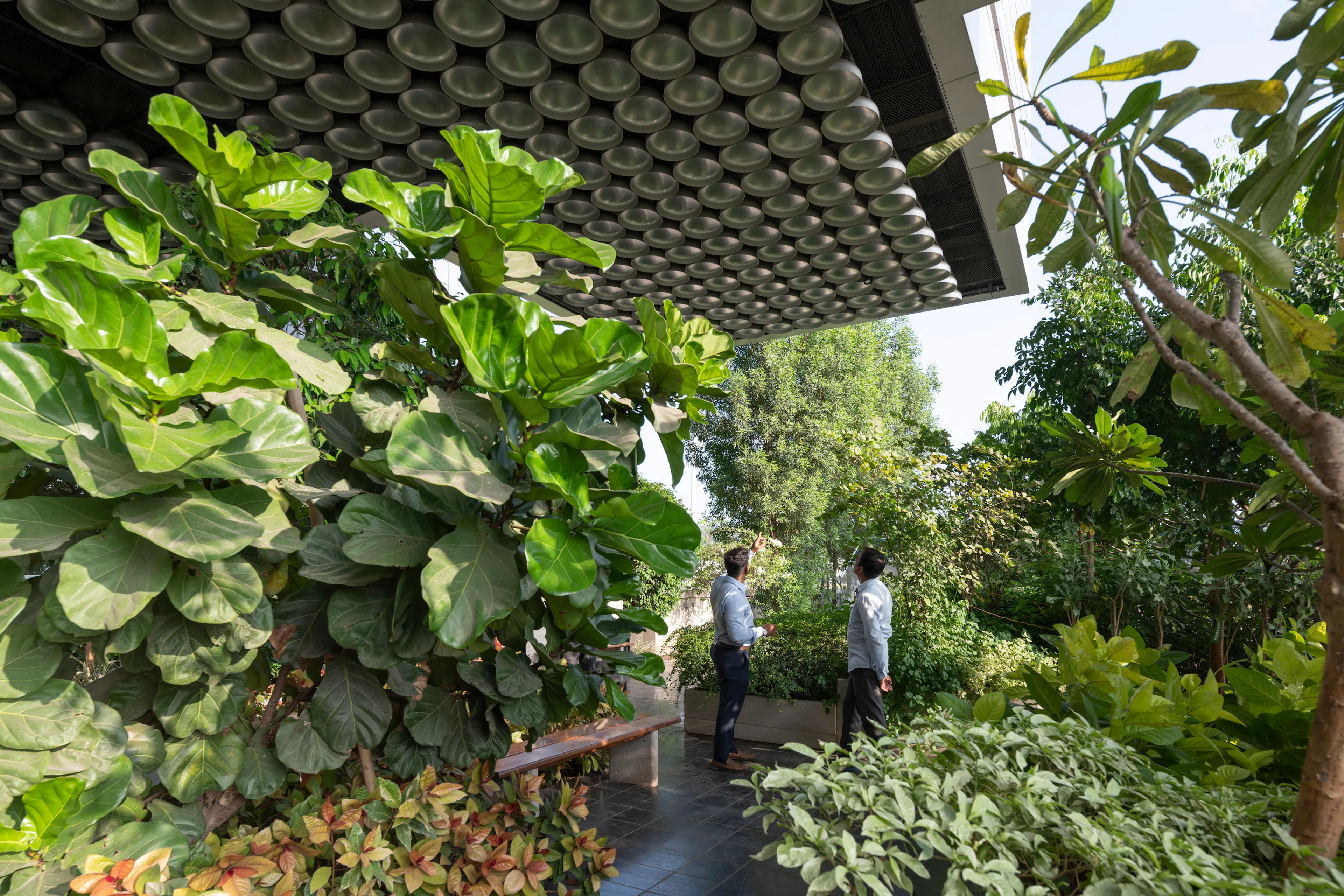 DY Patil University Centre of Excellence — 4