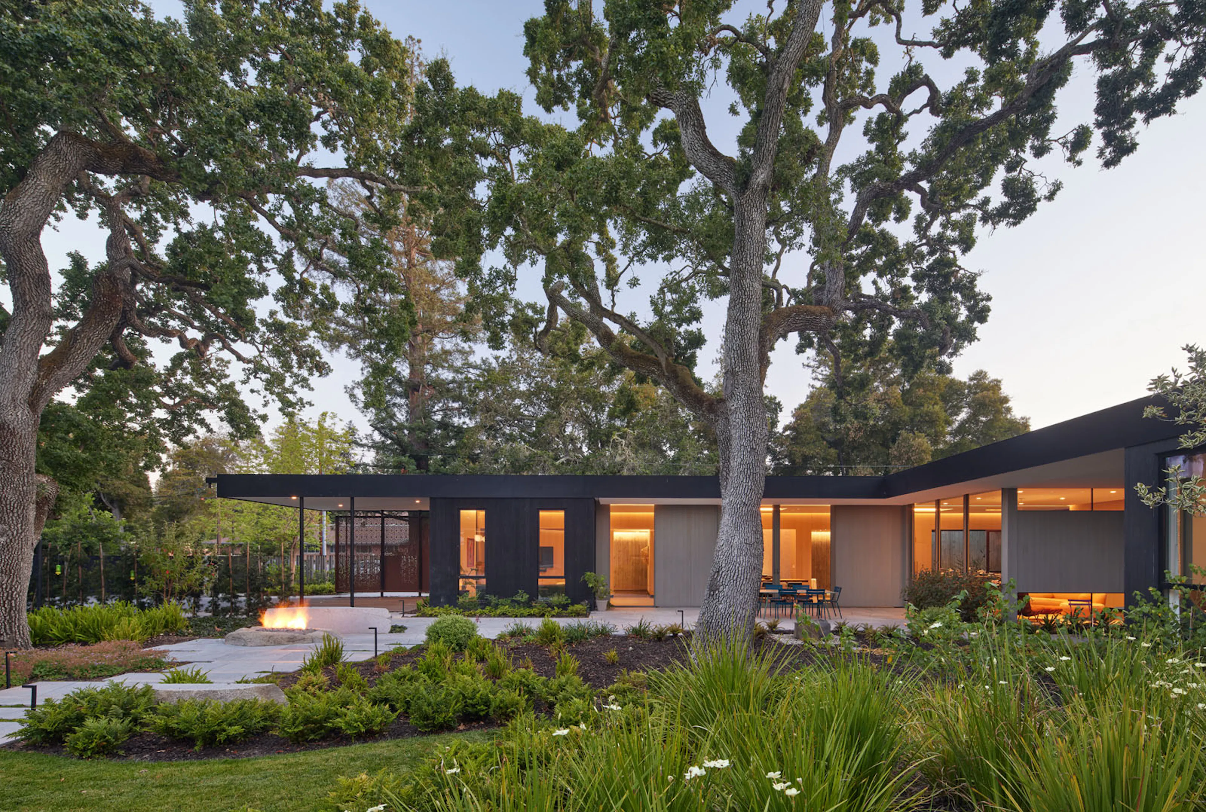 Mourning Dovecote — 36