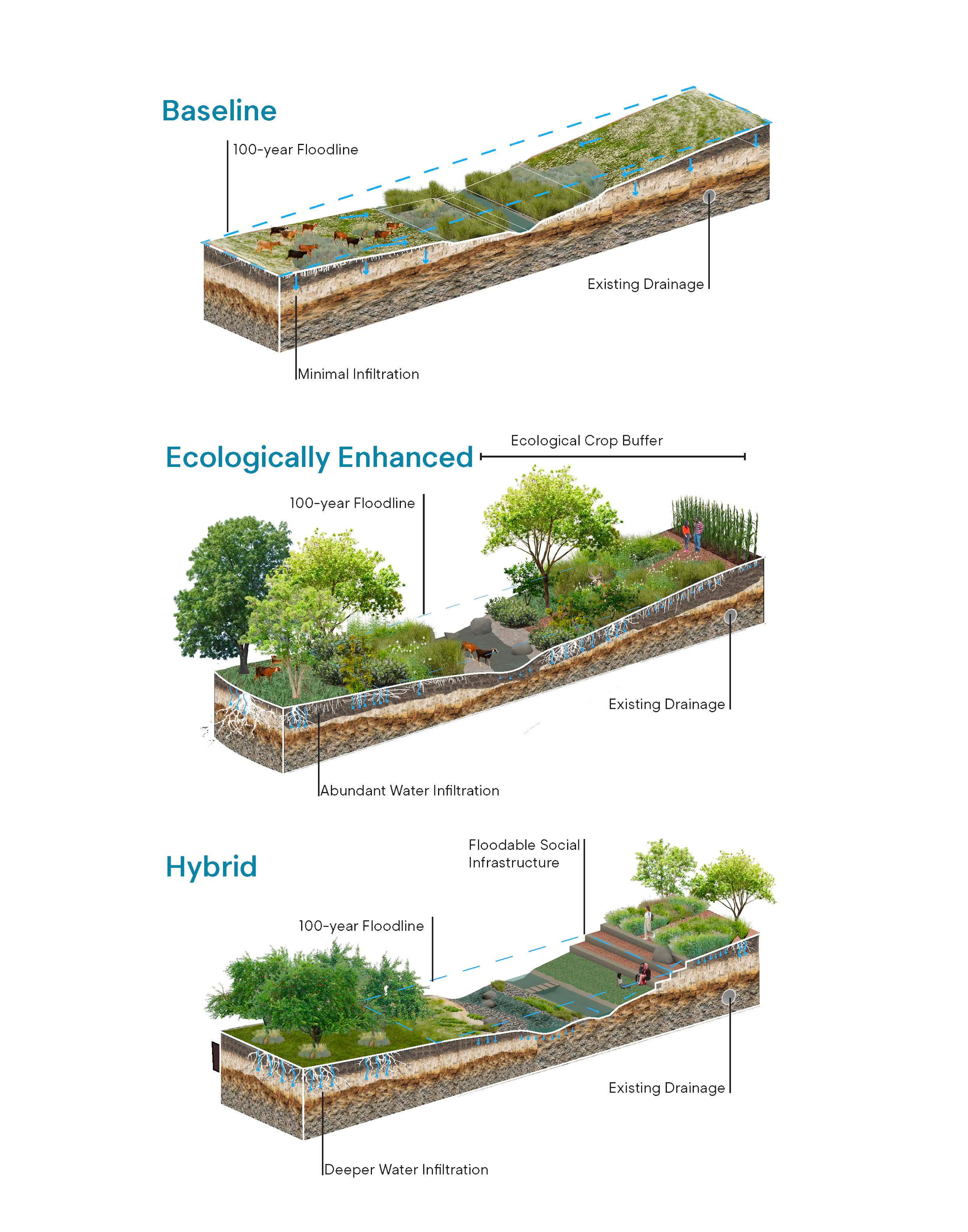 1881 Farm Park — 13