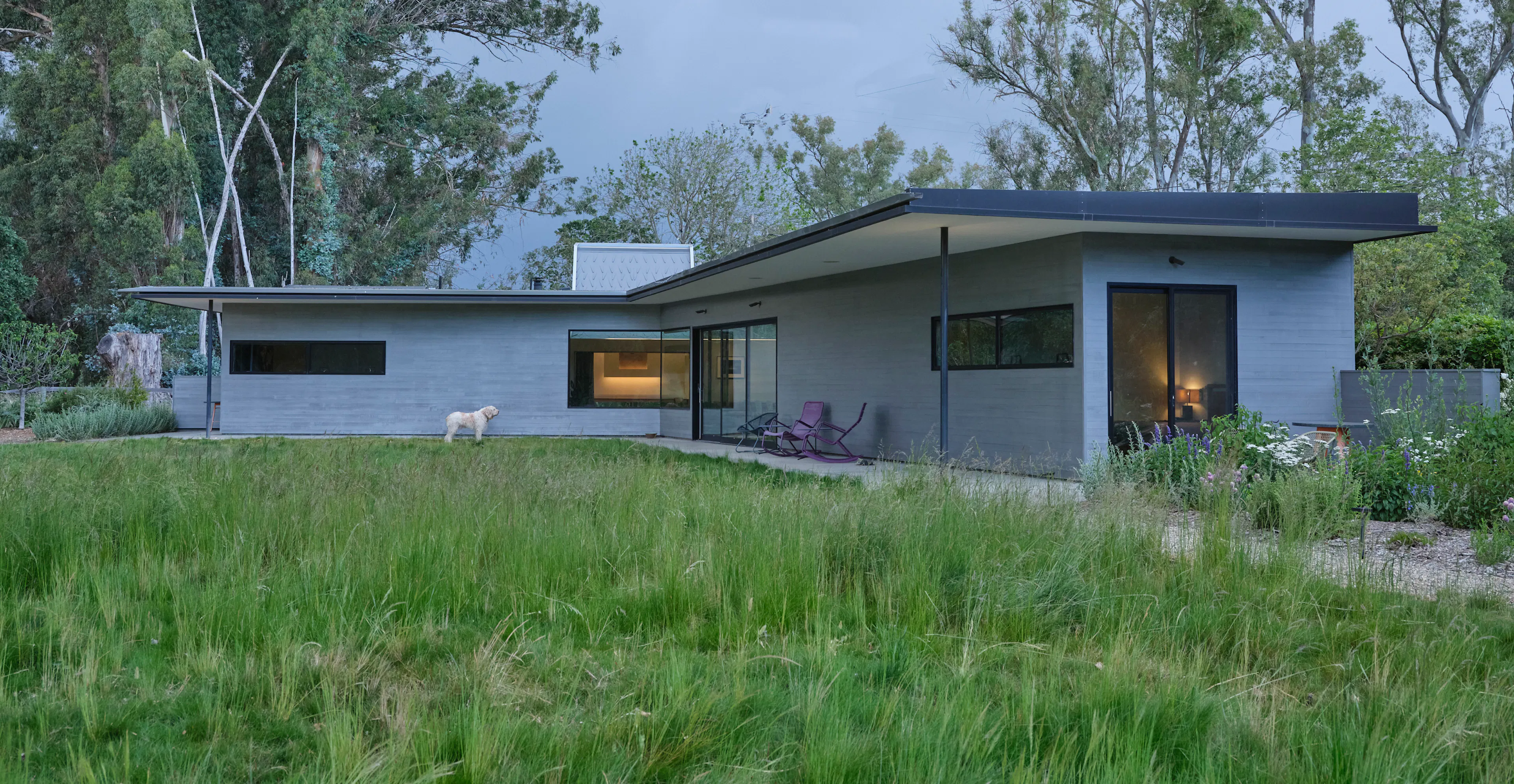 Mourning Dovecote — 12