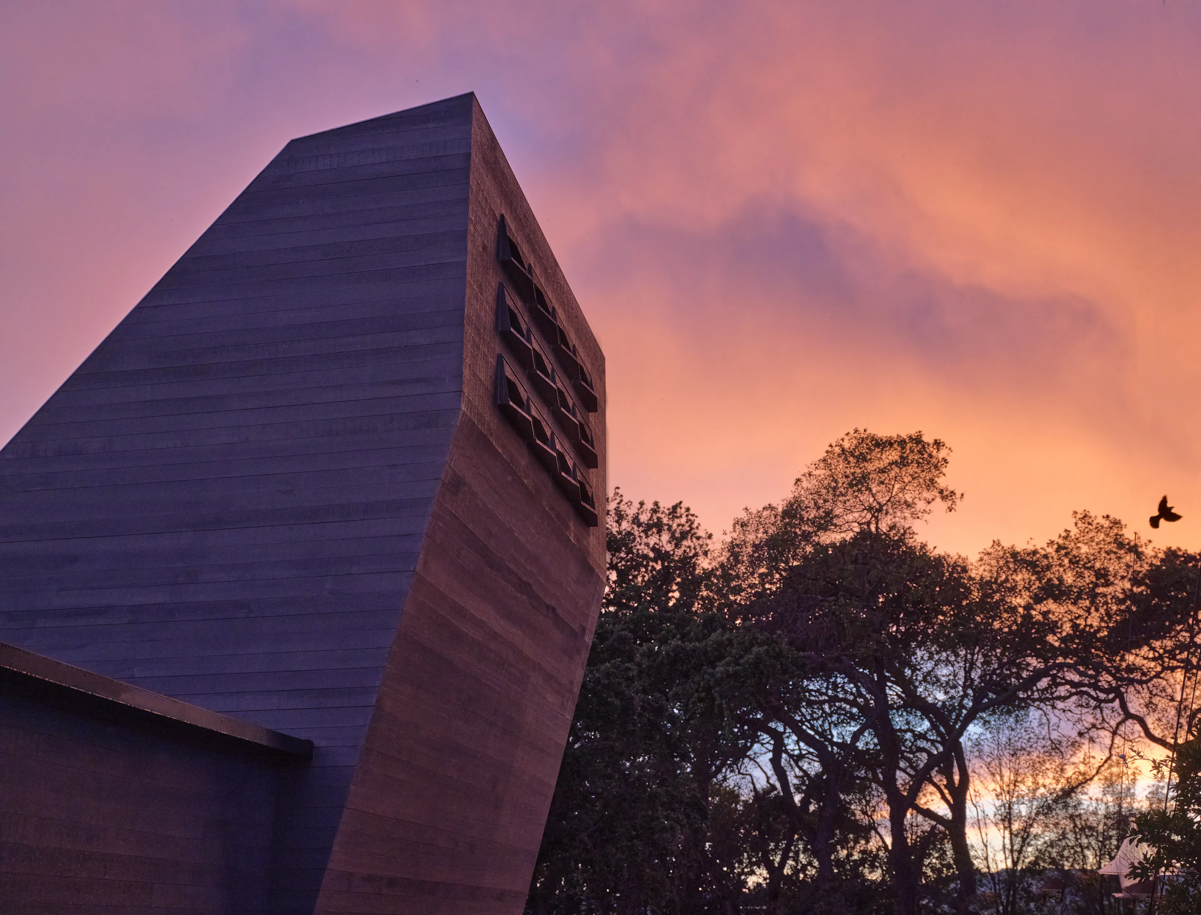 Mourning Dovecote — 14