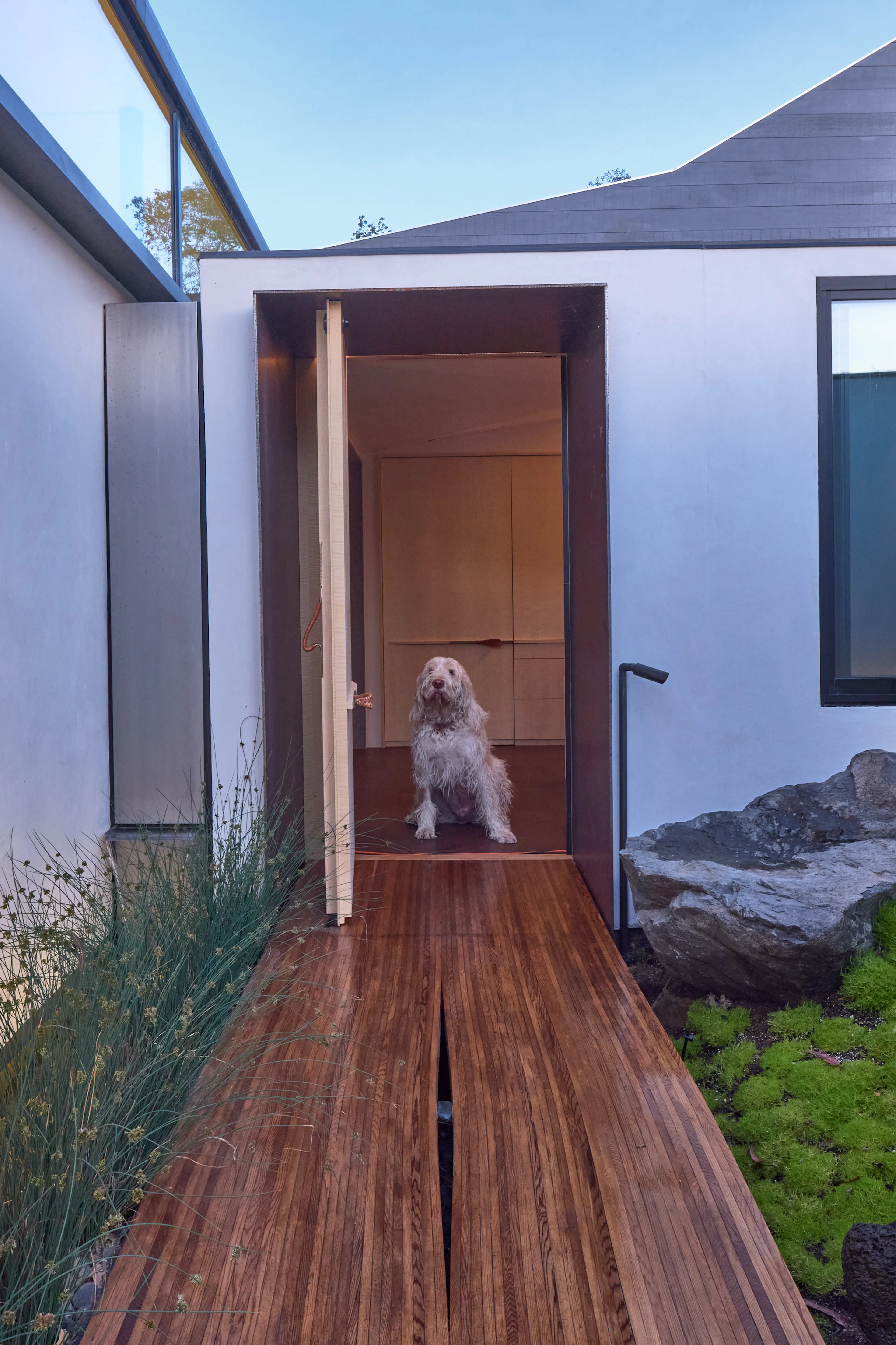 Mourning Dovecote — 27