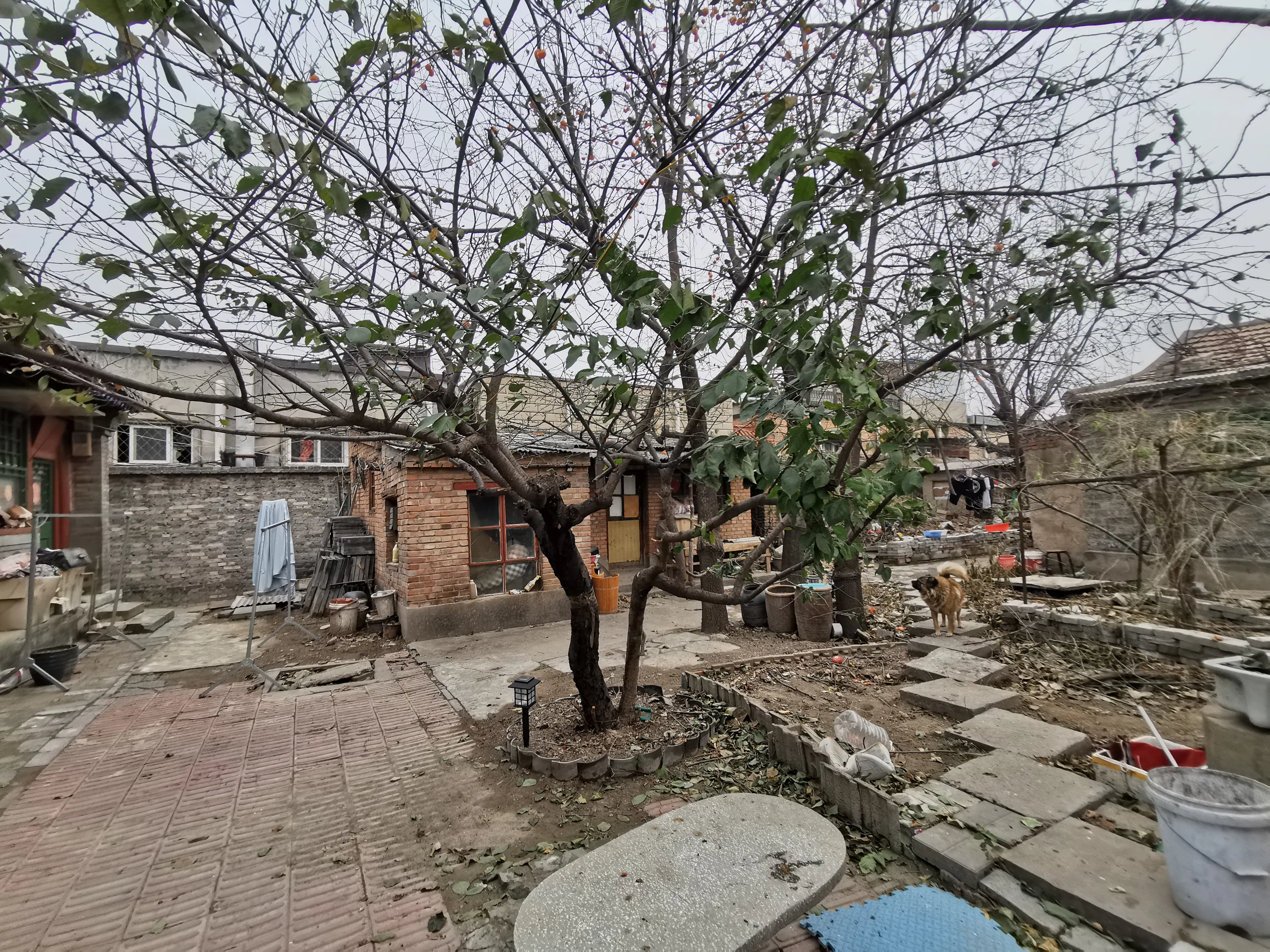 Courtyards Renovation of the Moshikou Neighborhood — 15