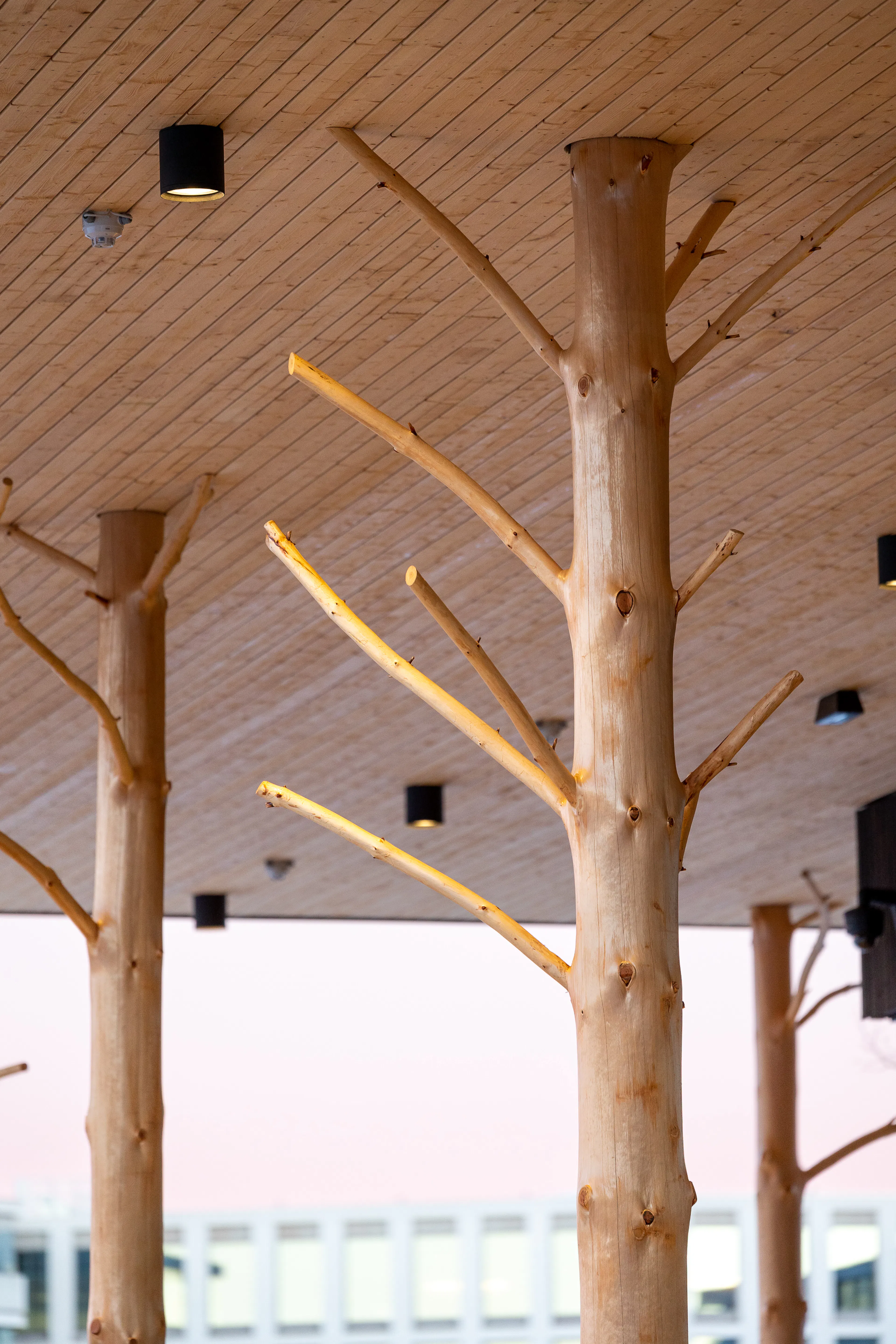 Little Finlandia — 23