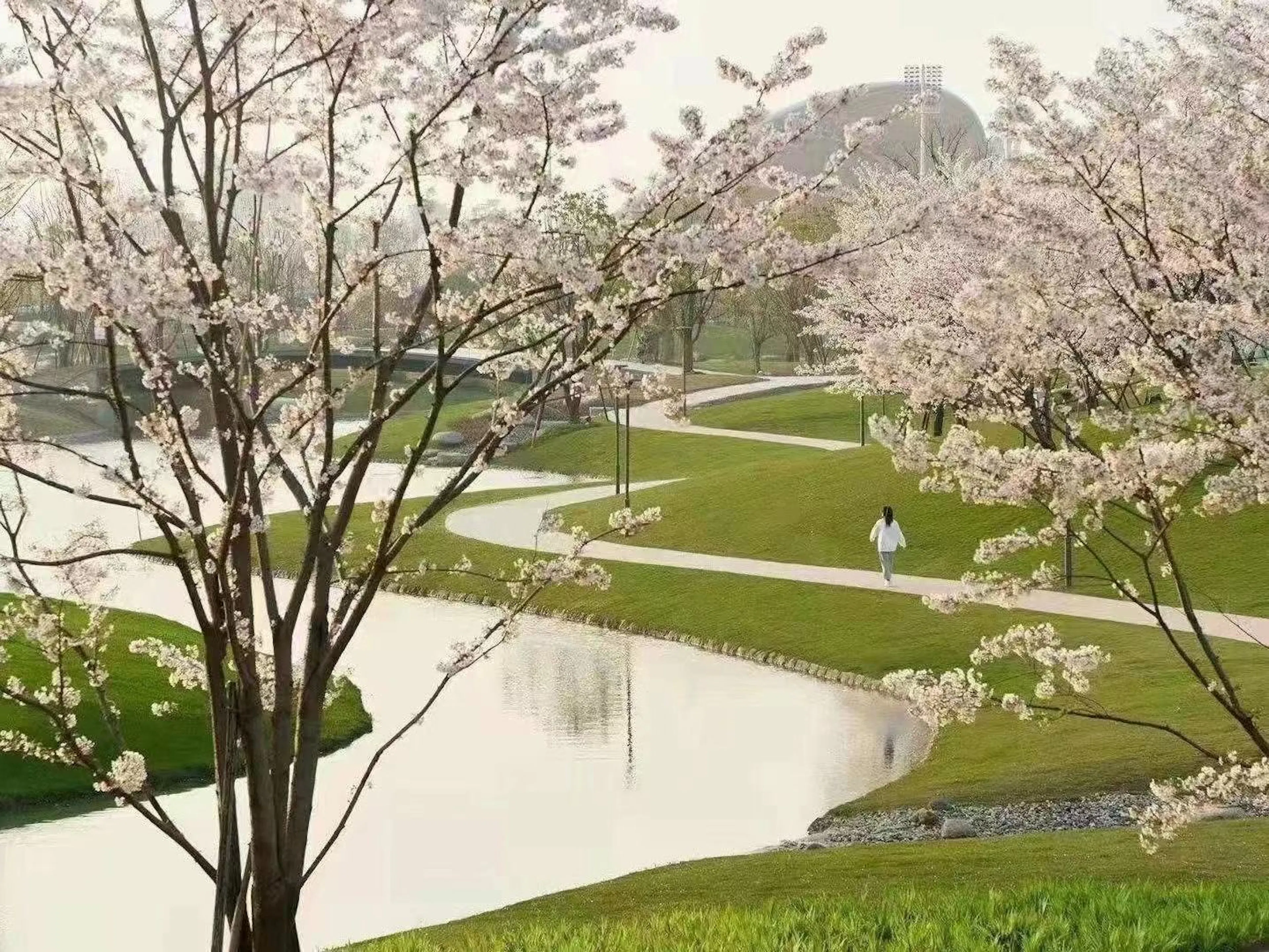 Asian Games 2022 Master Plan and Hybrid Buildings — 18