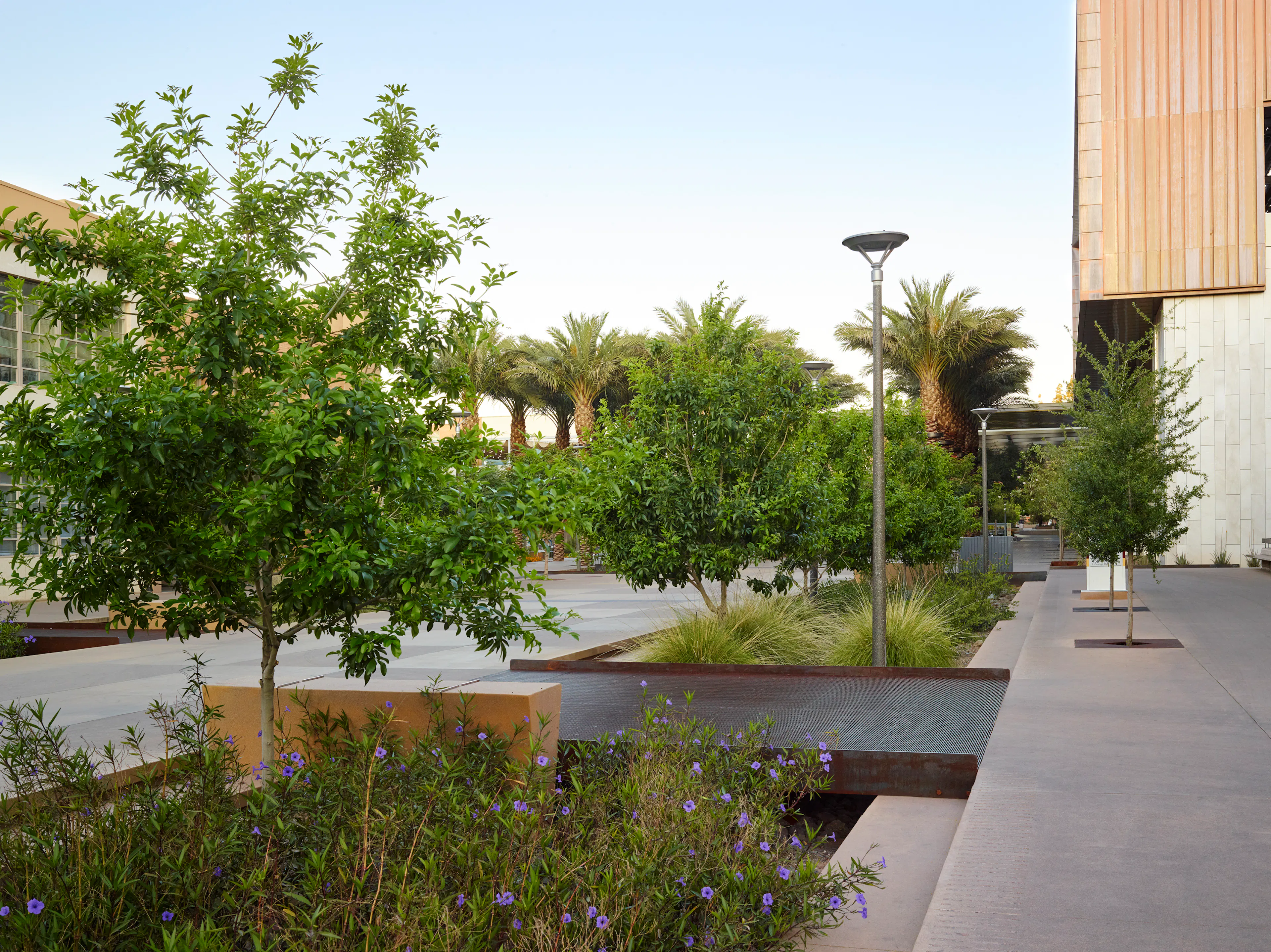 Orange Mall Green Infrastructure at Arizona State University
