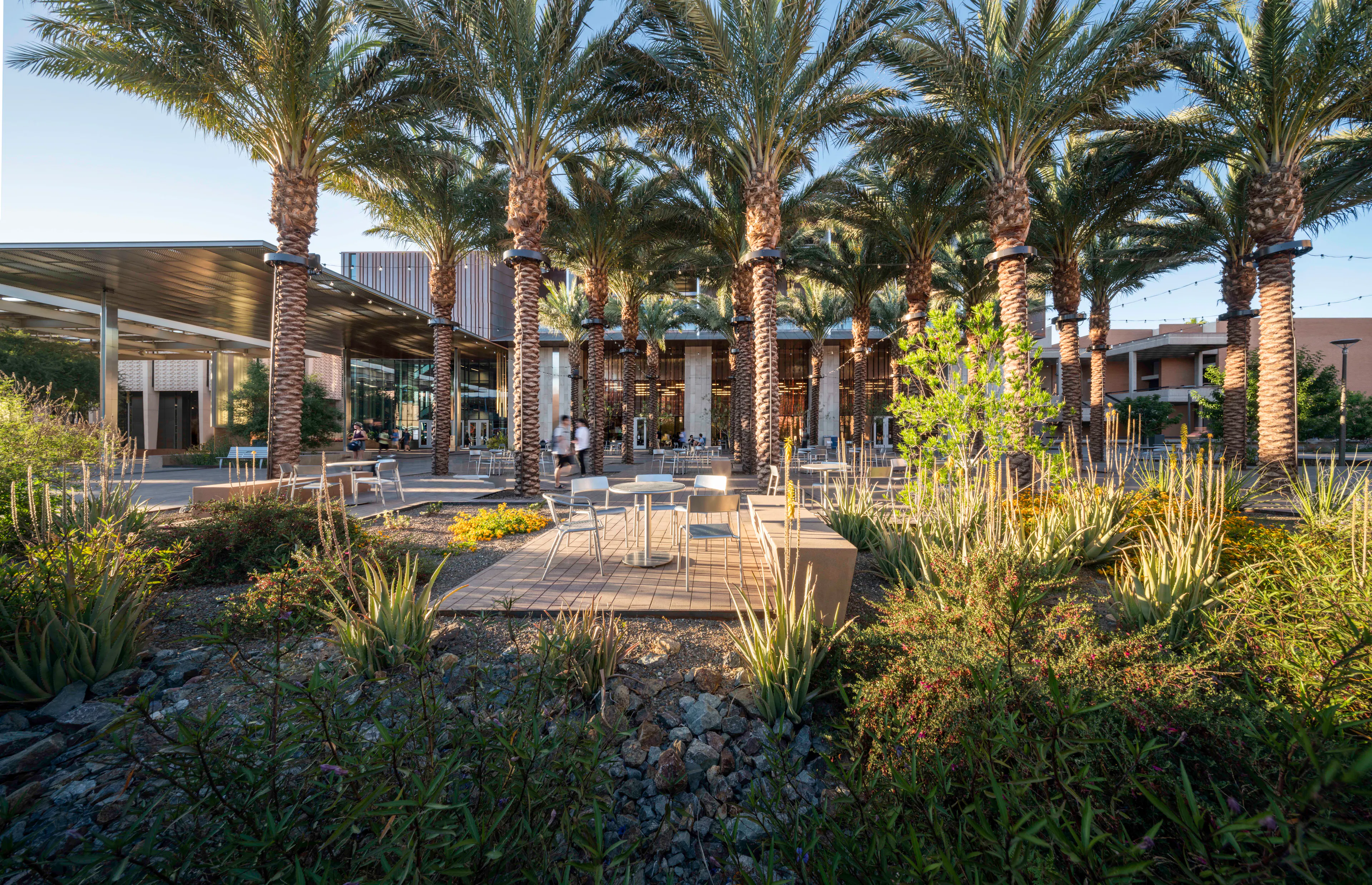 Orange Mall Green Infrastructure at Arizona State University — 6