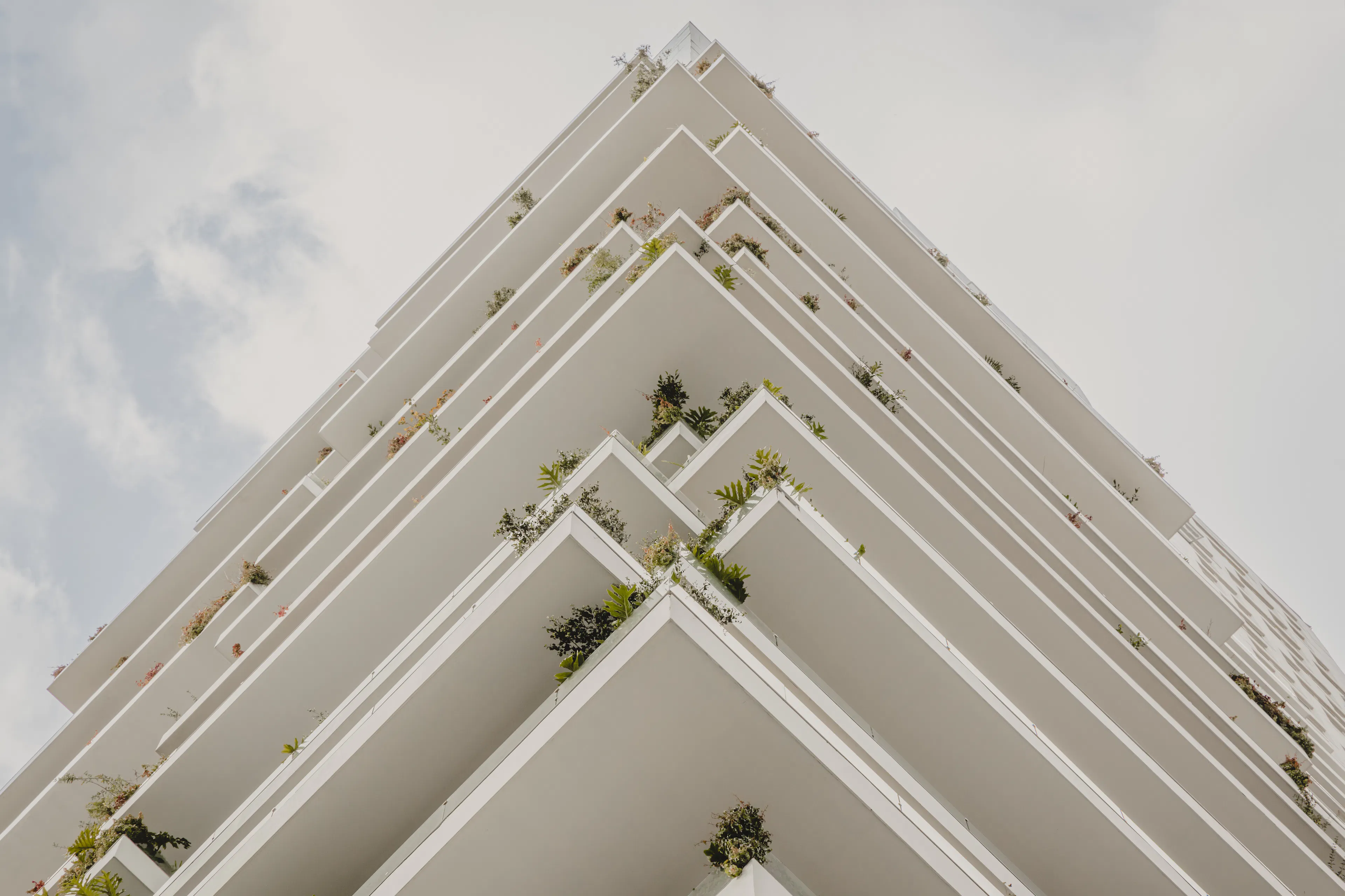 Periférico 2008 — 5