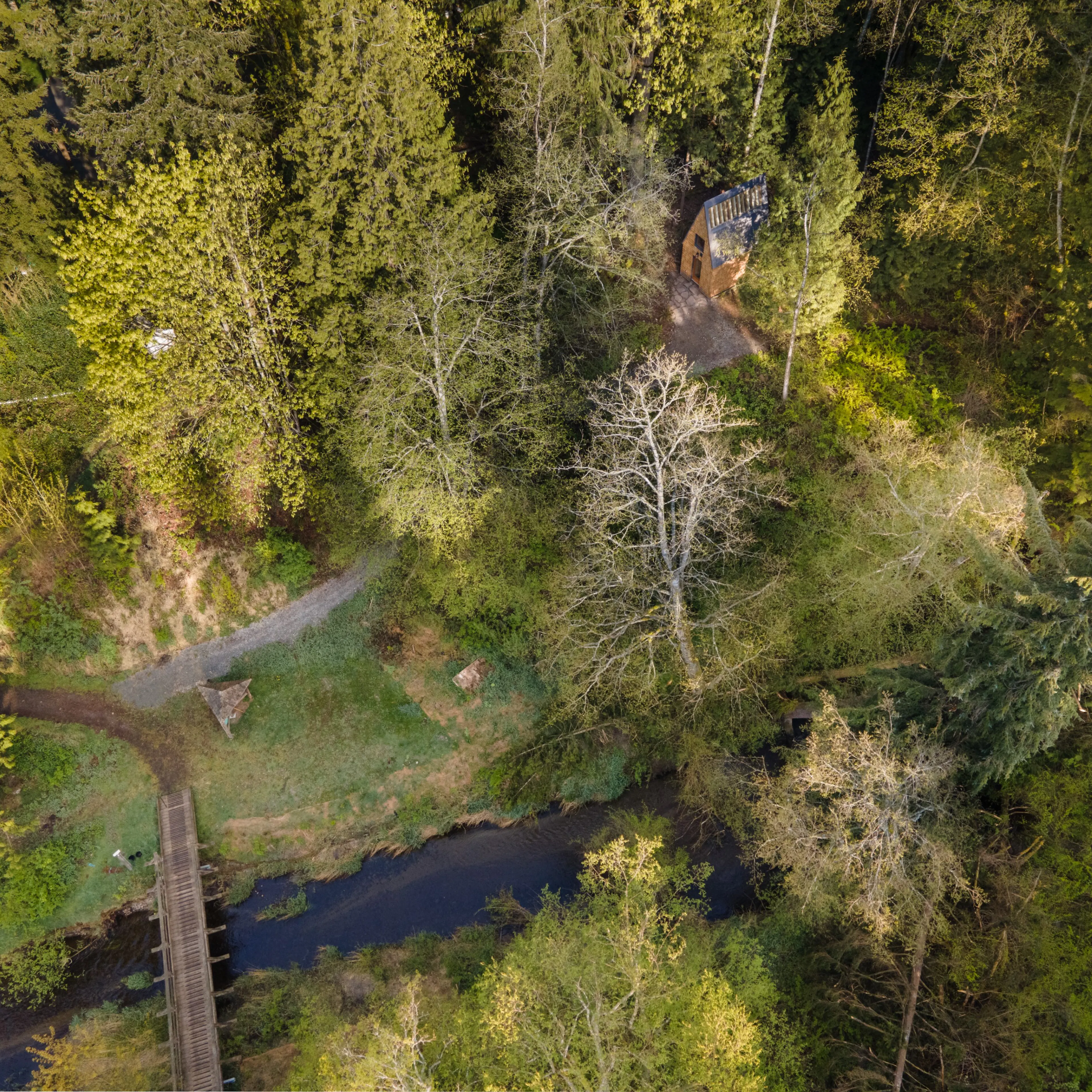 Meristem Chapel — 4