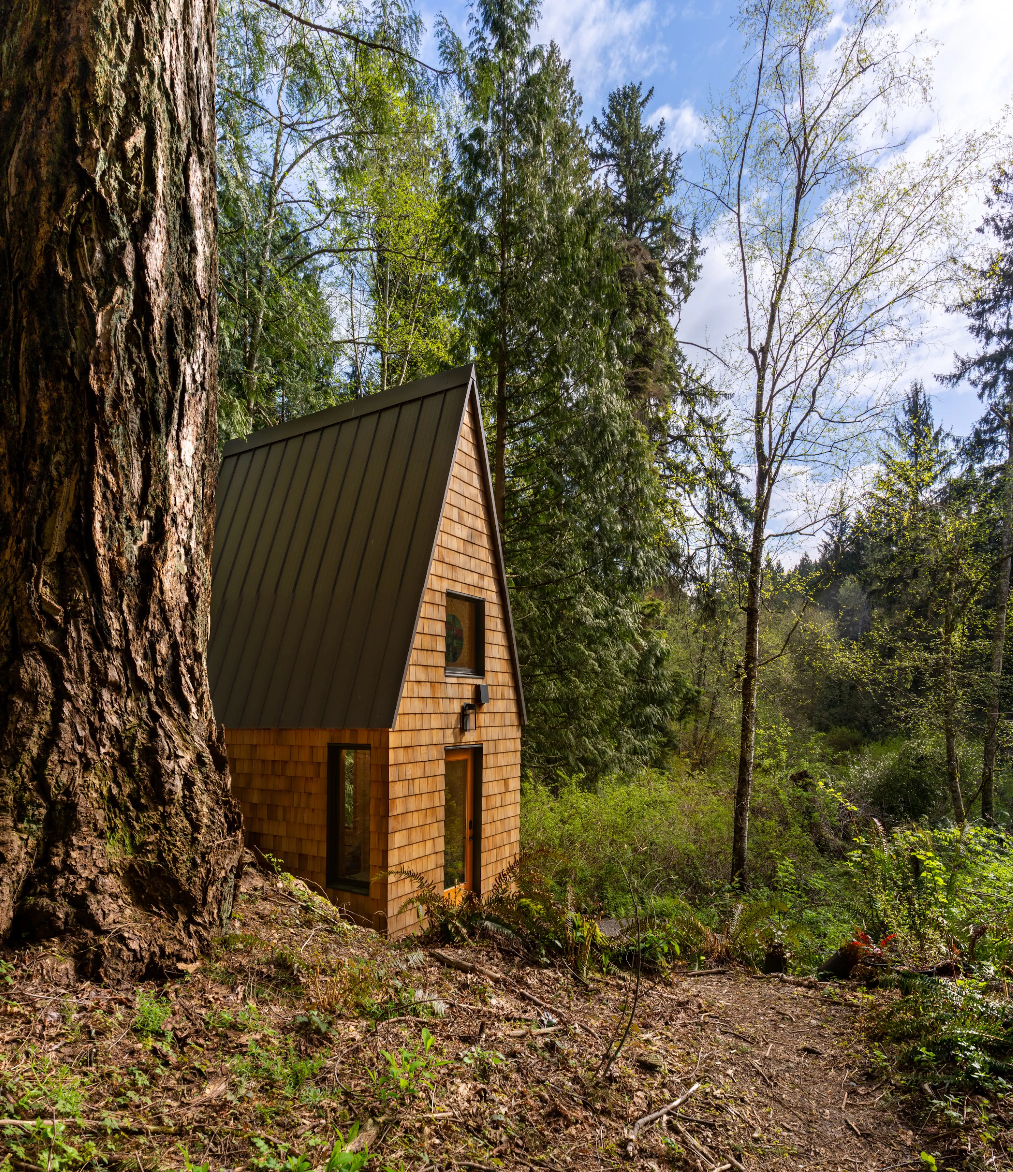 Meristem Chapel — 7