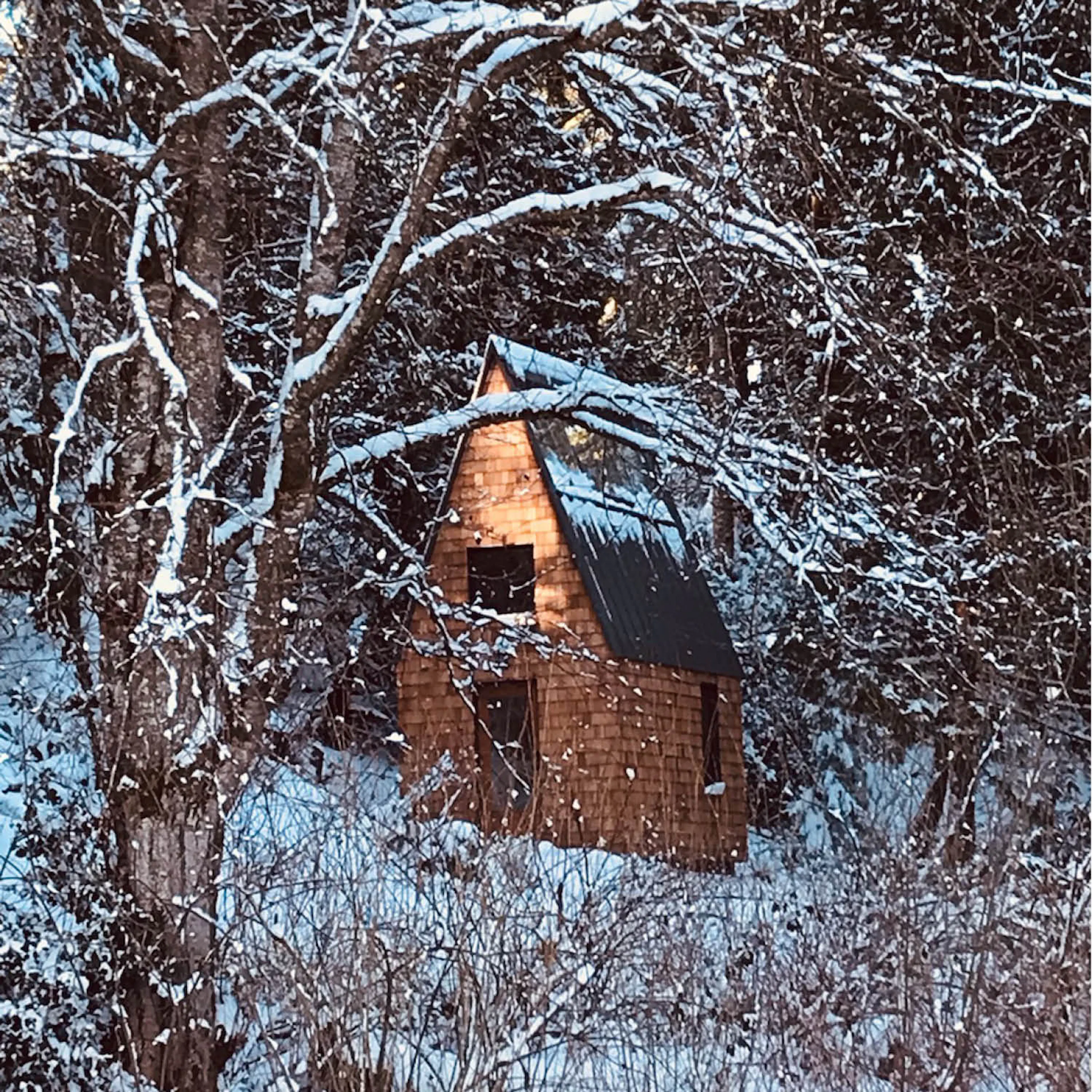 Meristem Chapel — 11