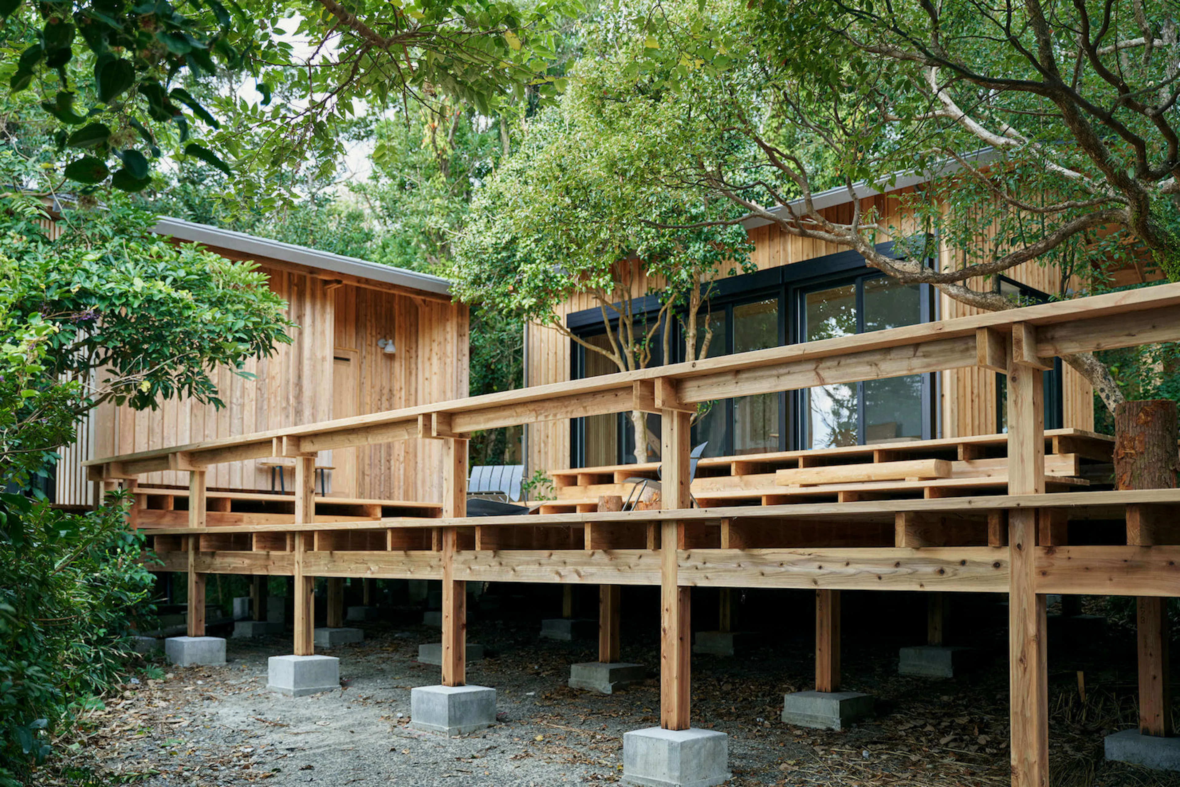 Sumu Yakushima — 4