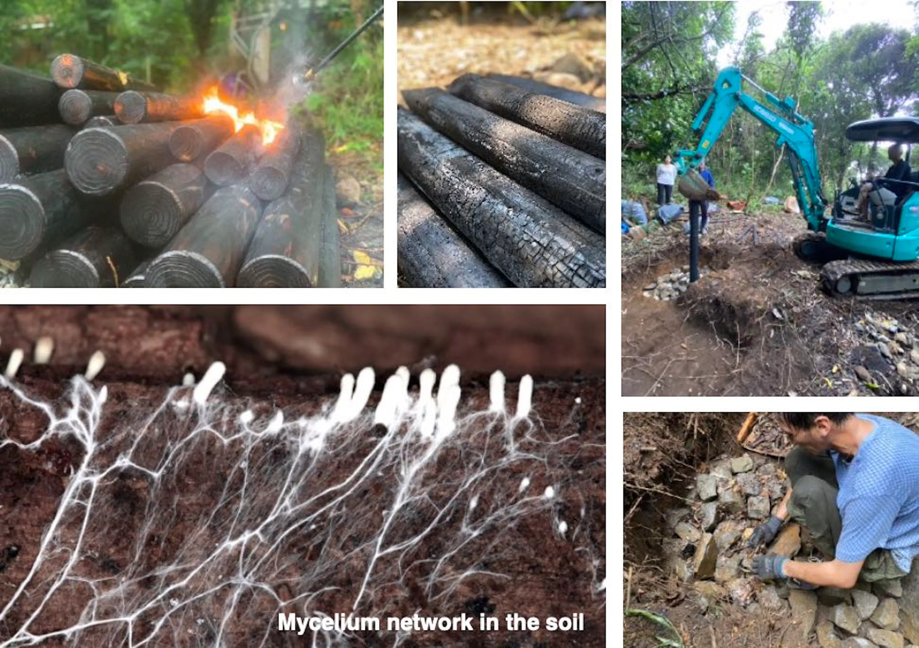 Sumu Yakushima — 15