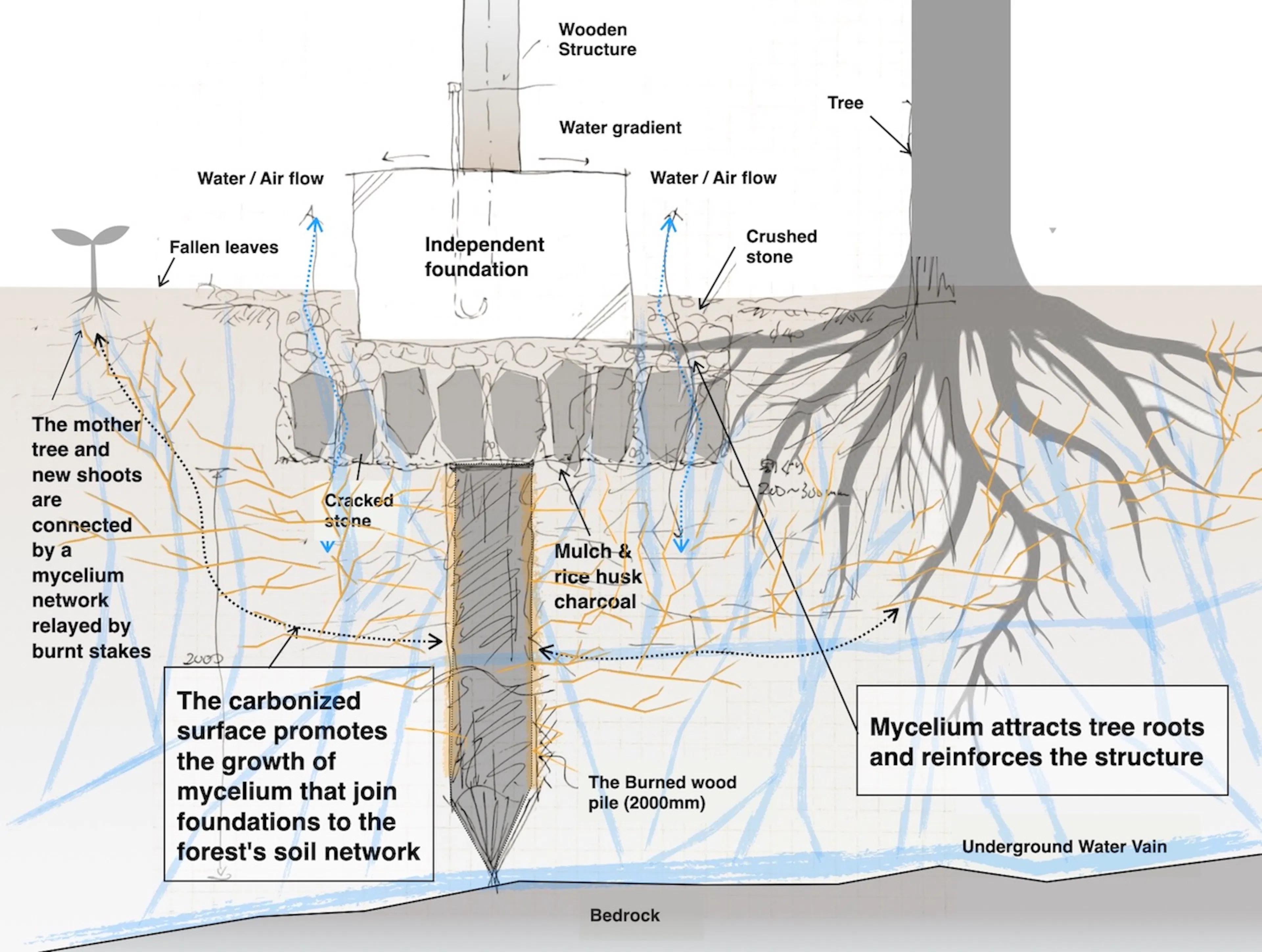 Sumu Yakushima — 1