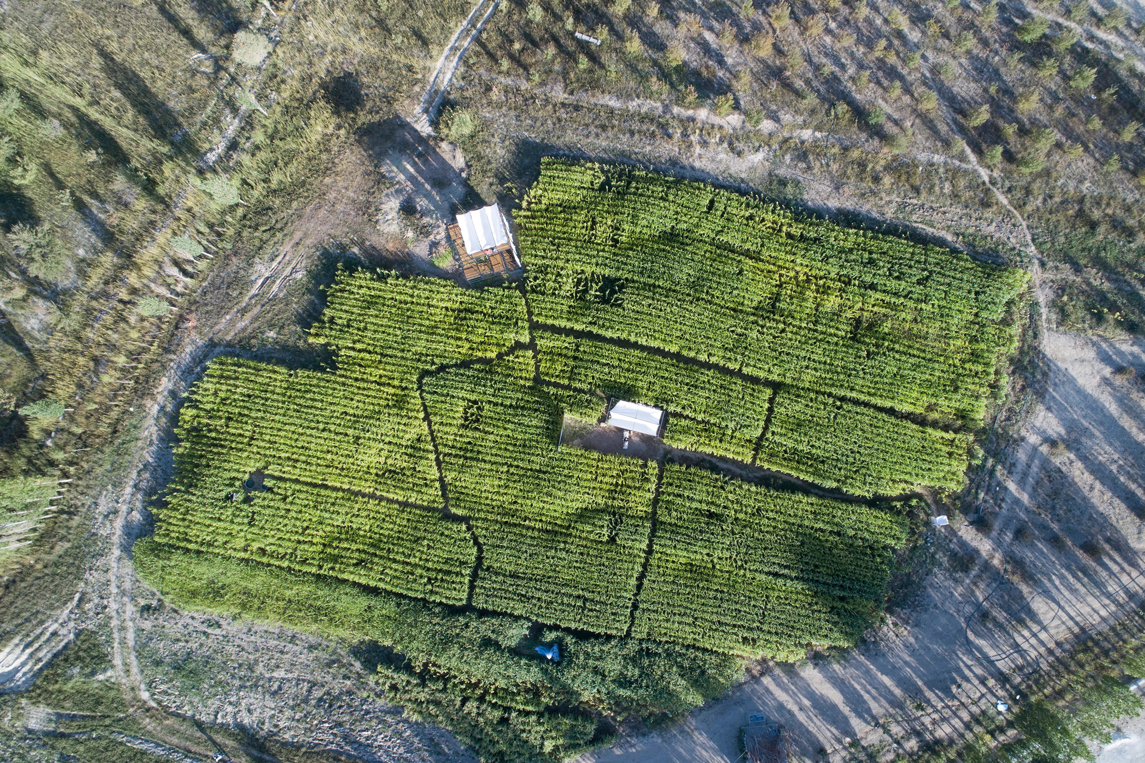 Poonehzar-Farm — 2