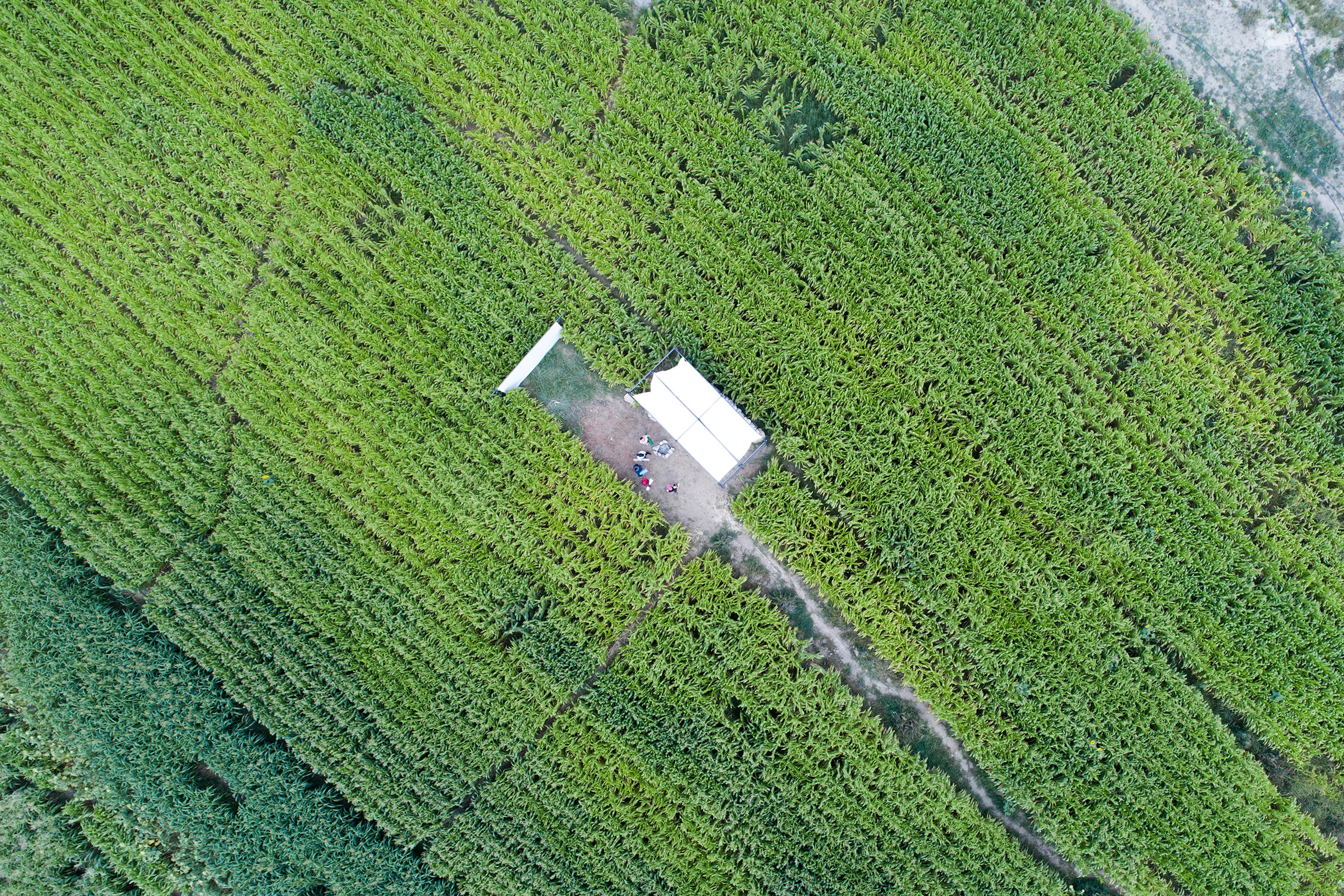 Poonehzar-Farm — 3