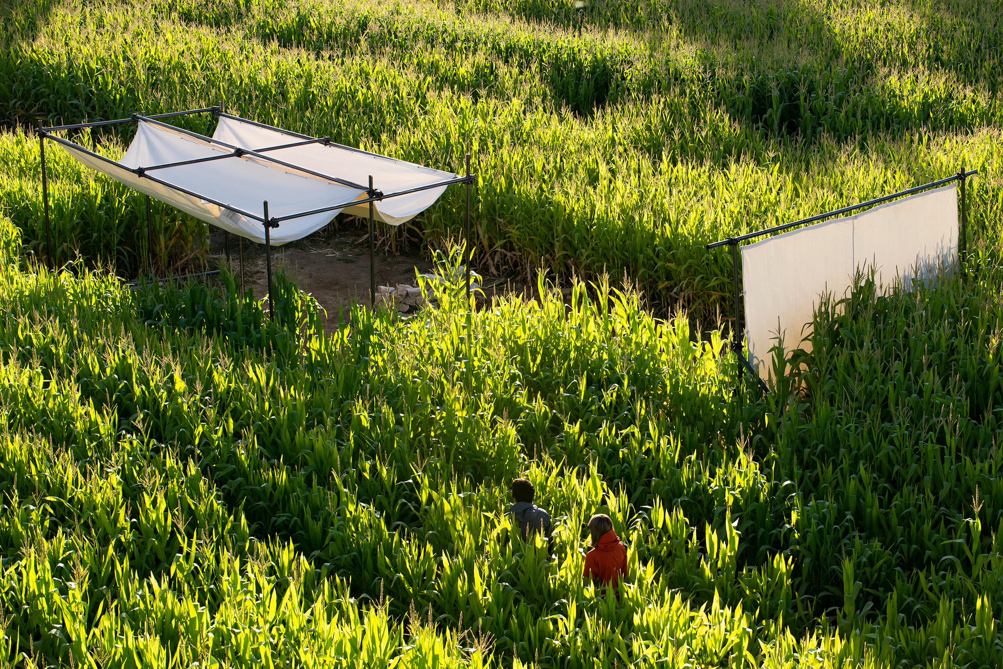 Poonehzar-Farm — 1