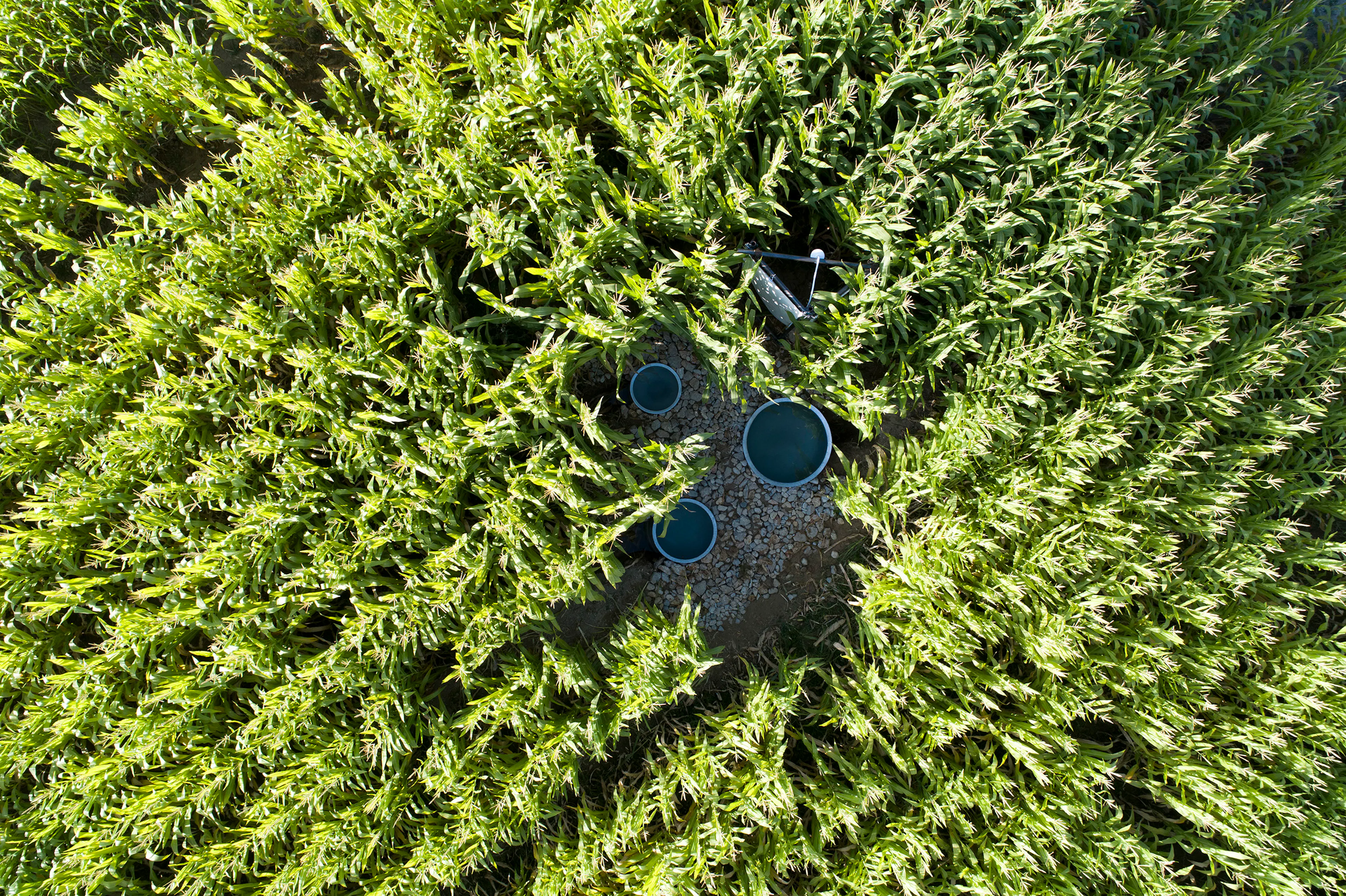 Poonehzar-Farm — 9