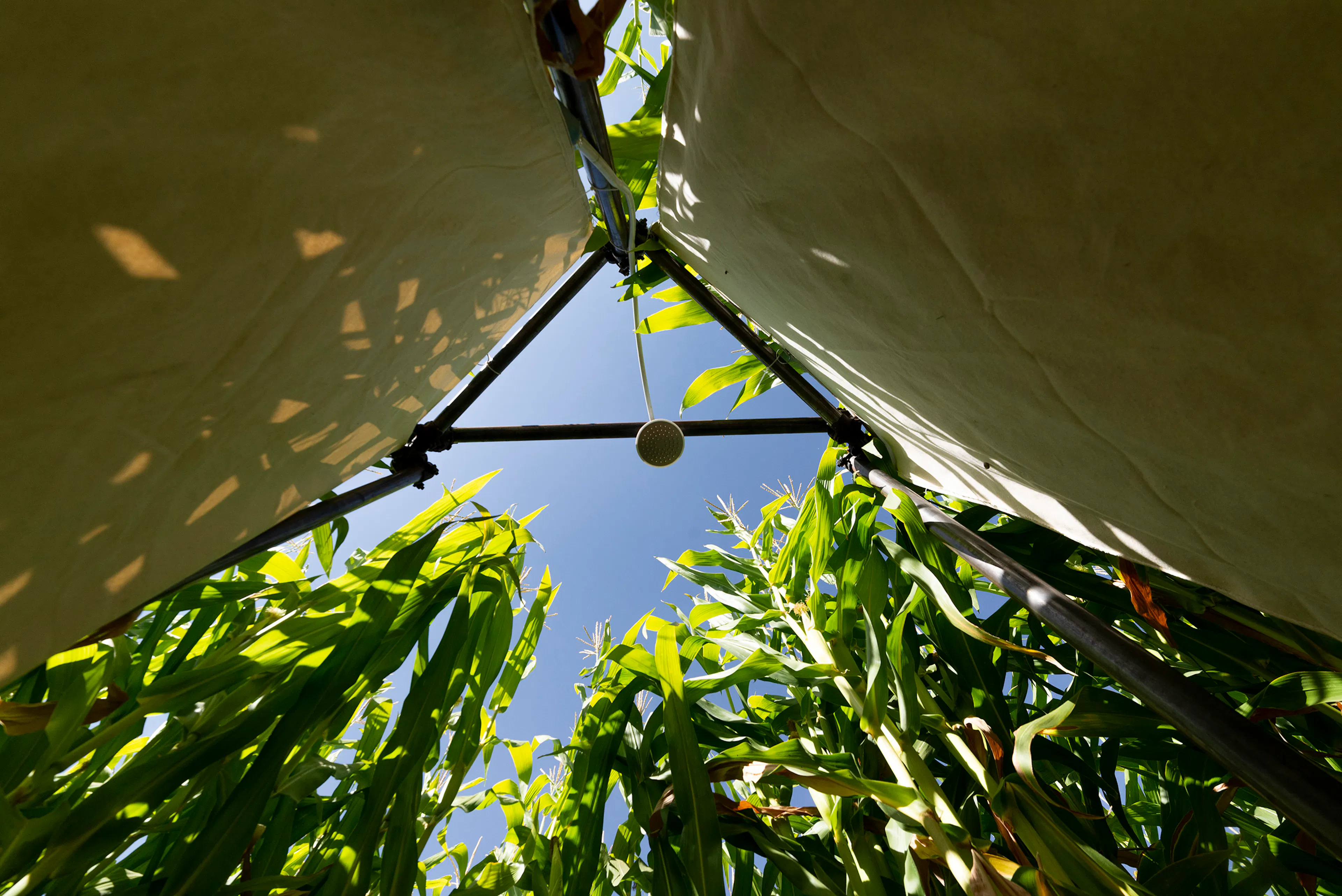 Poonehzar-Farm — 8