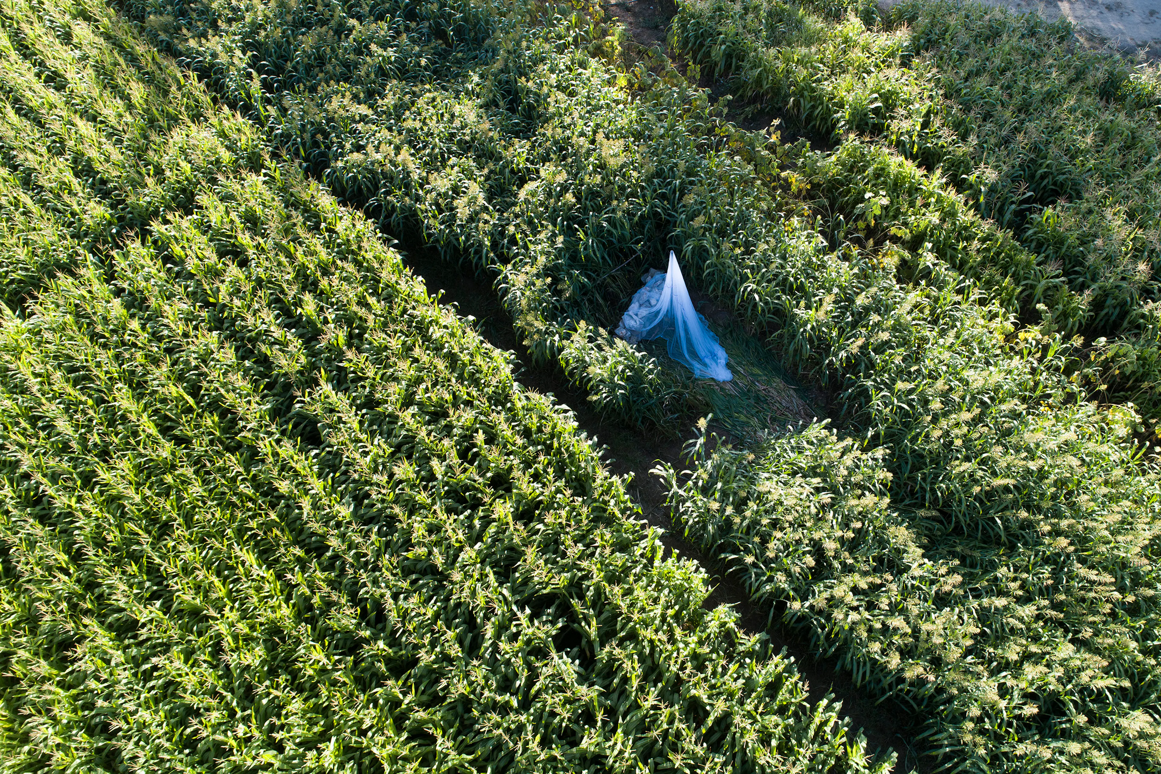 Poonehzar-Farm — 14