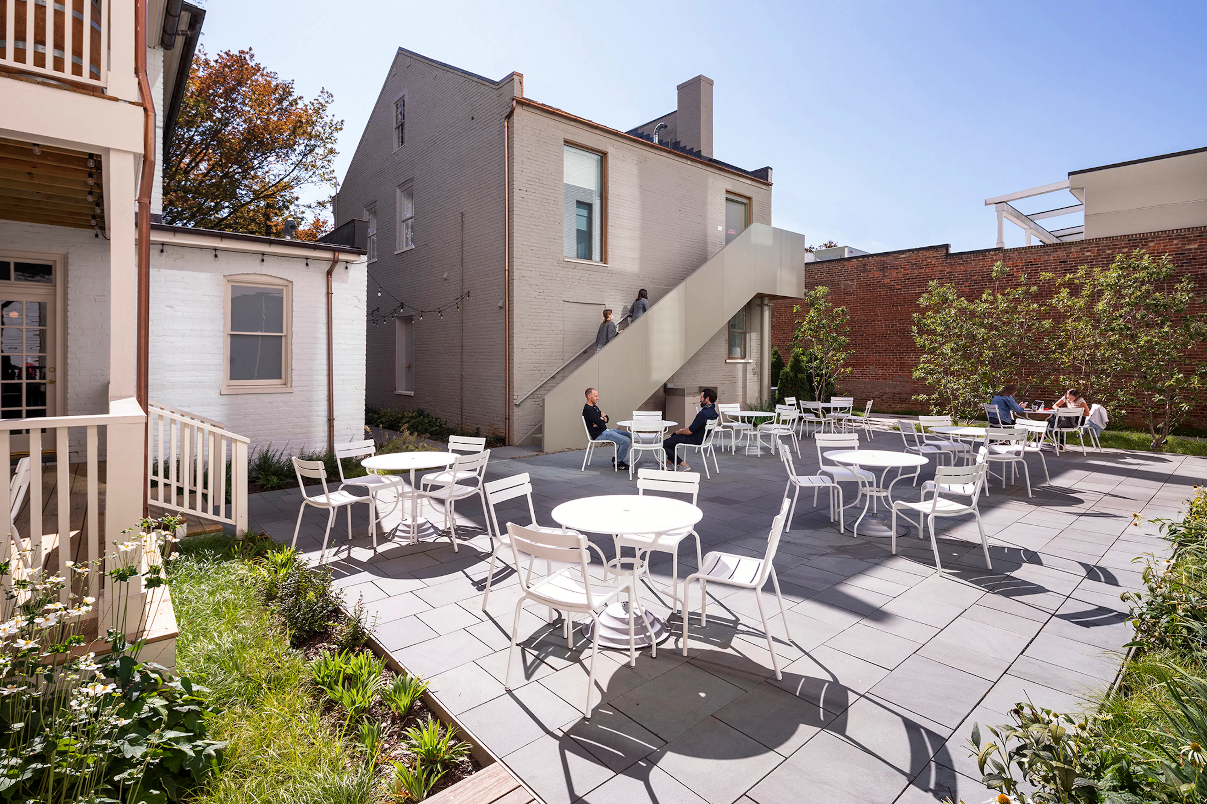 Quirk Charlottesville — 10